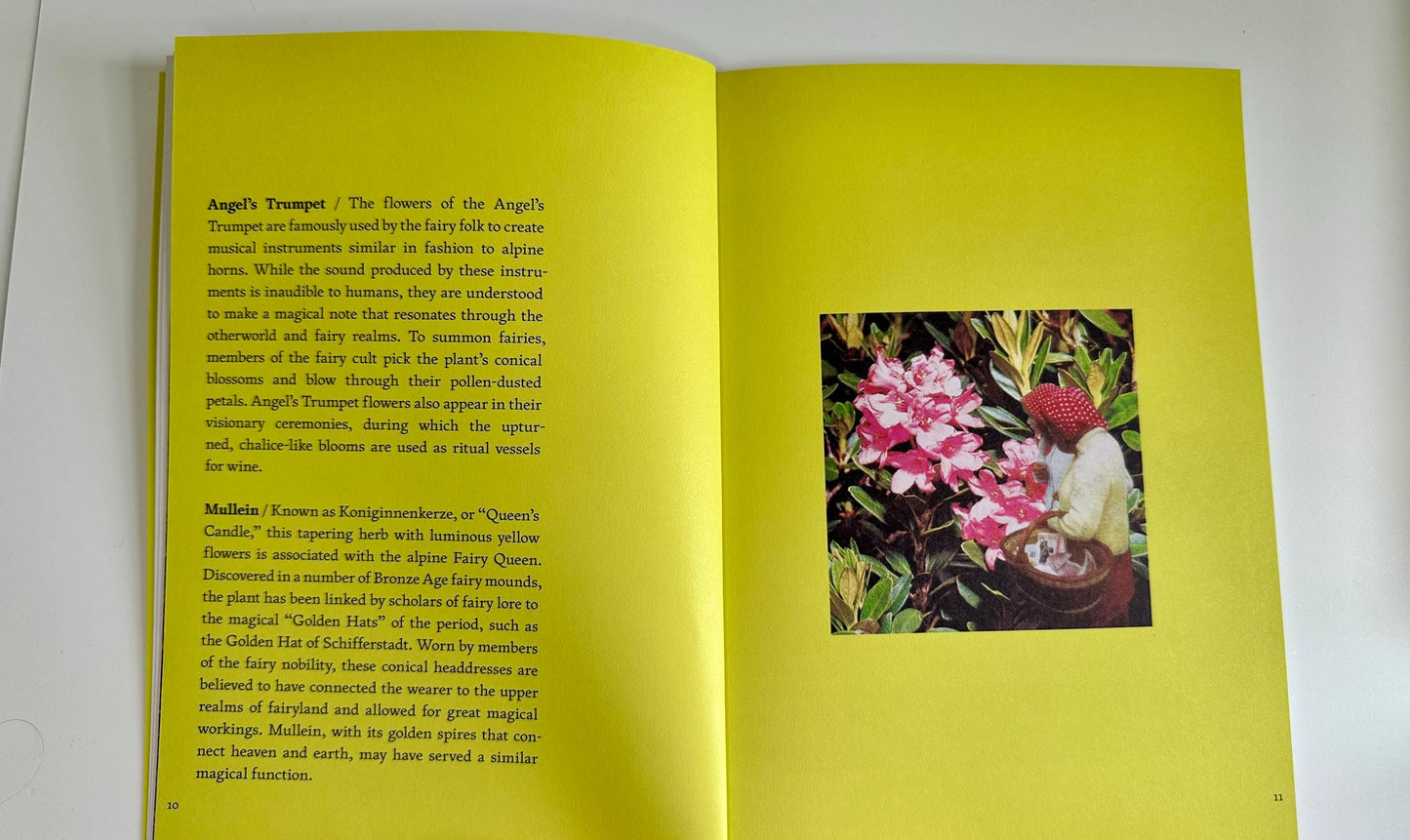 The Fruit of Mythic Dreaming Book - Imagined Folklore & Otherworld Botany