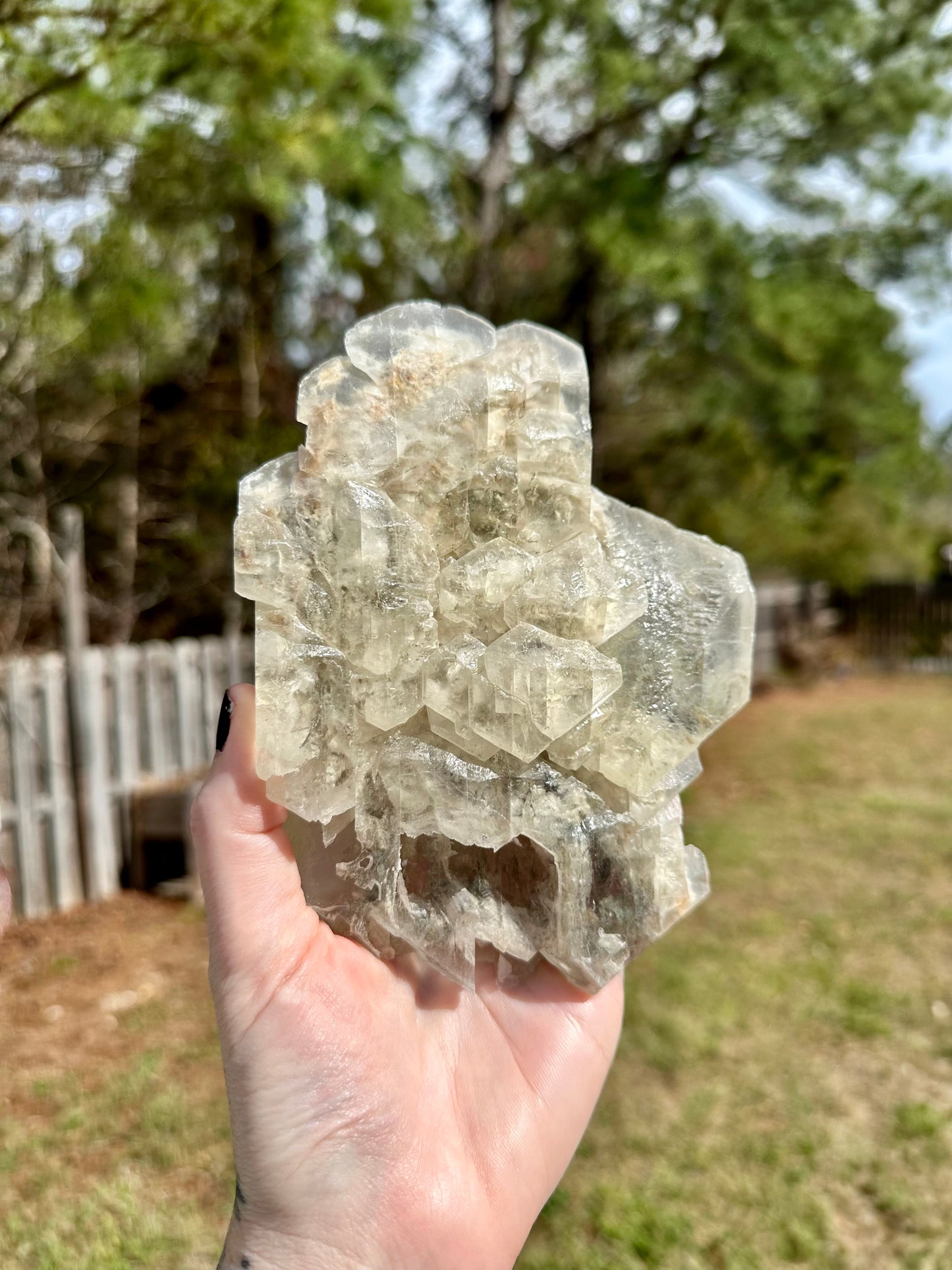 Elestial Selenite Crystal Specimen