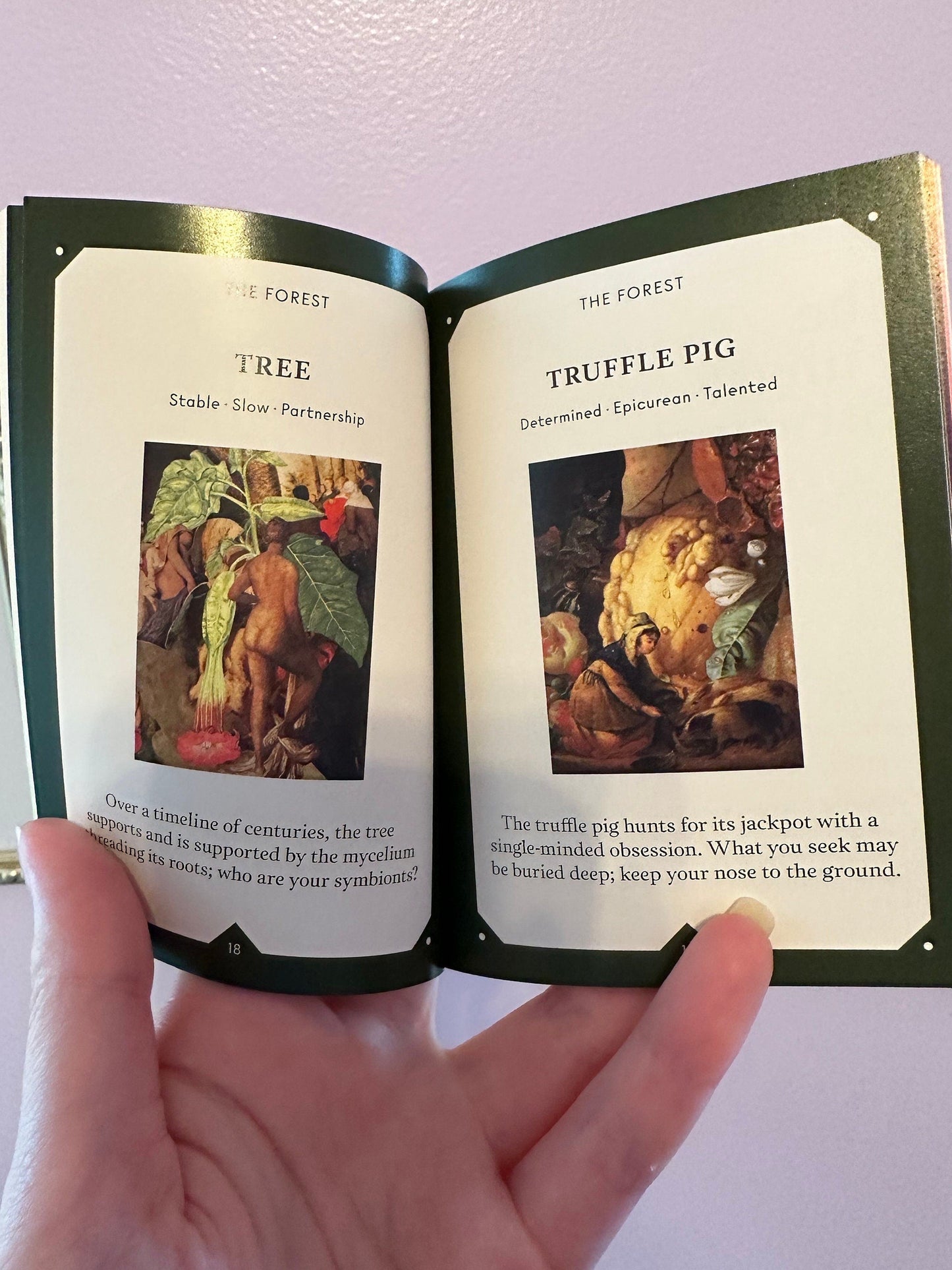 The Mushroom Oracle Deck- 44 Card Deck and Guidebook