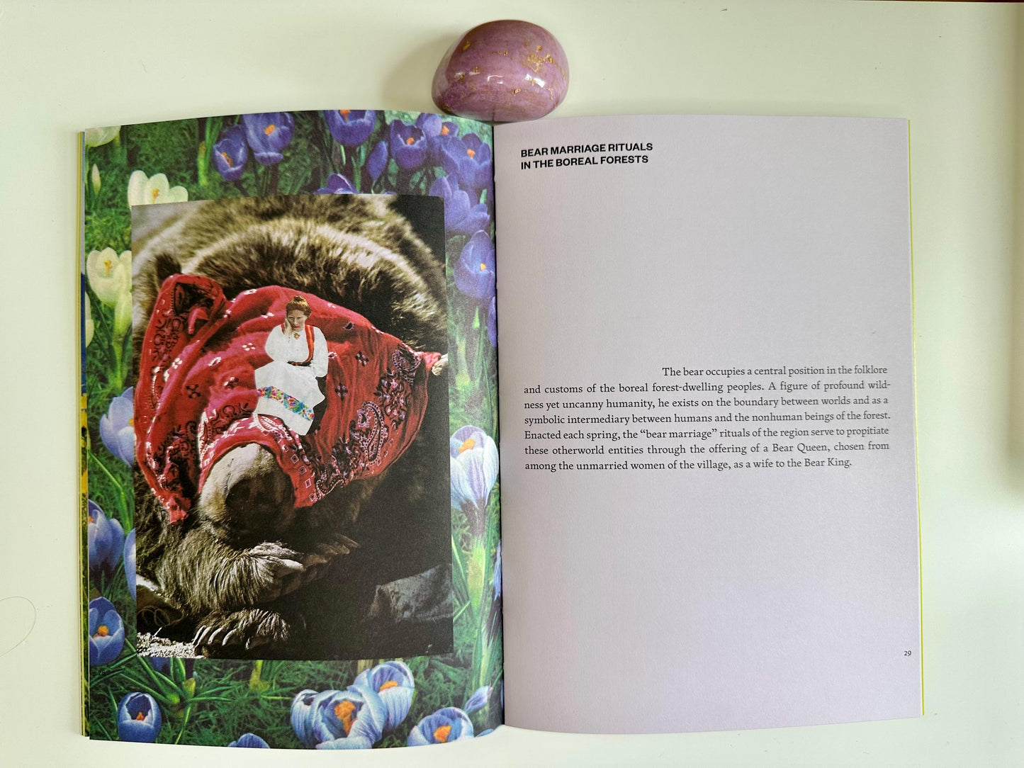 The Fruit of Mythic Dreaming Book - Imagined Folklore & Otherworld Botany