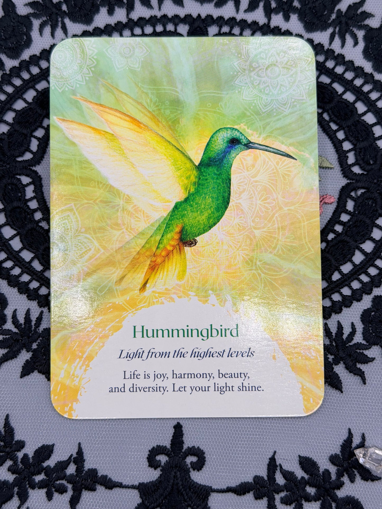 Oracle of the Birds Deck