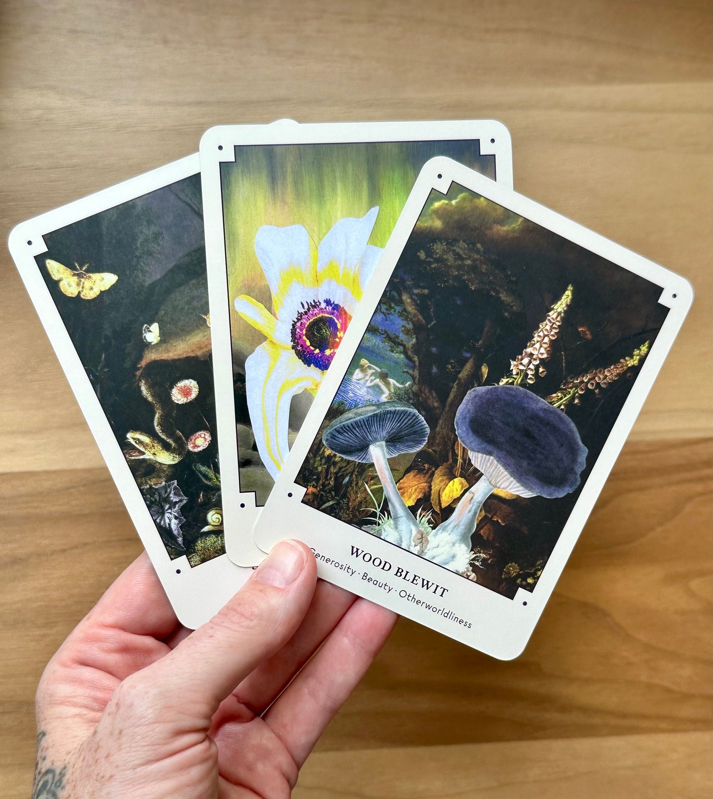 The Mushroom Oracle Deck- 44 Card Deck and Guidebook