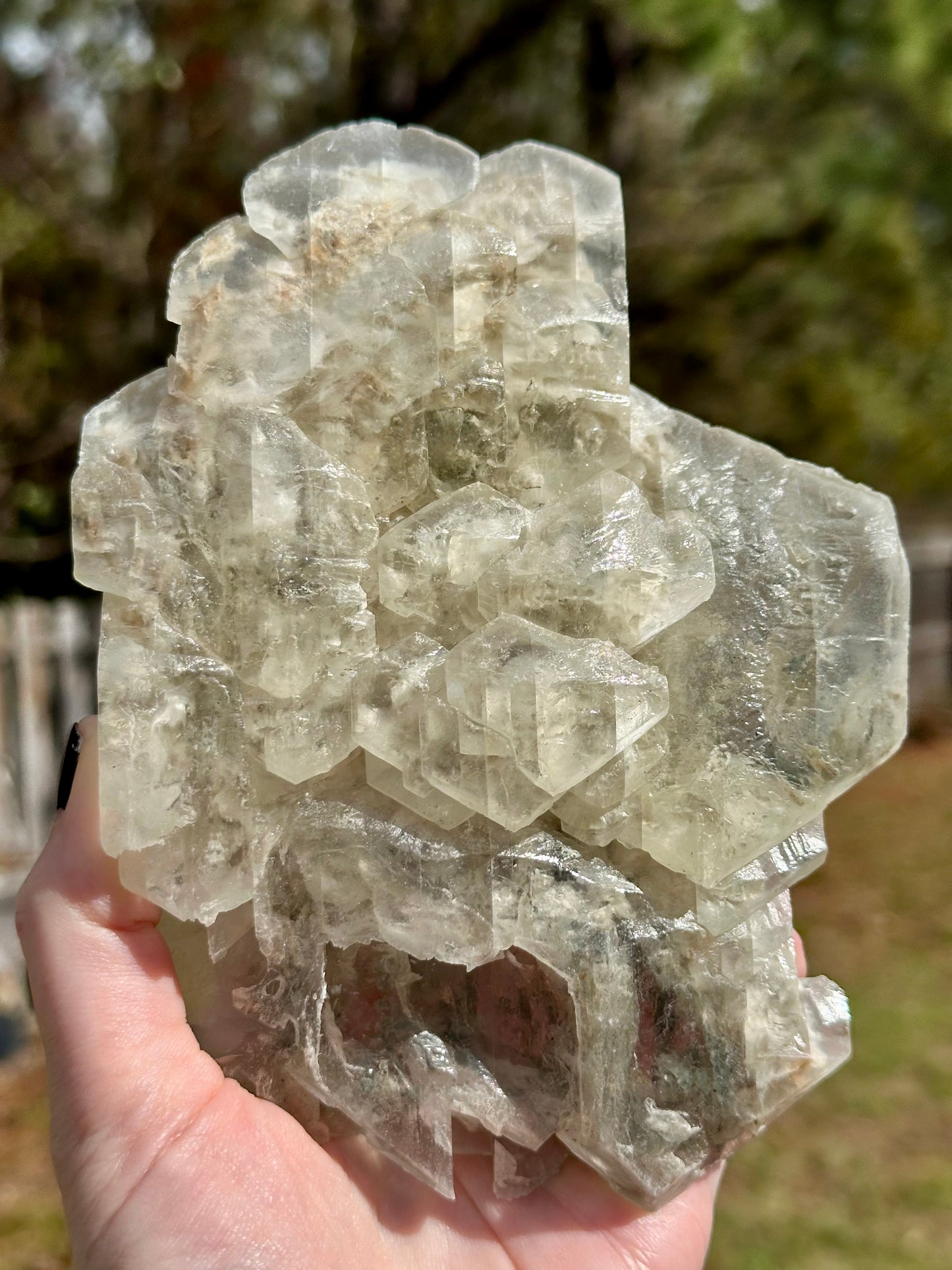 Elestial Selenite Crystal Specimen