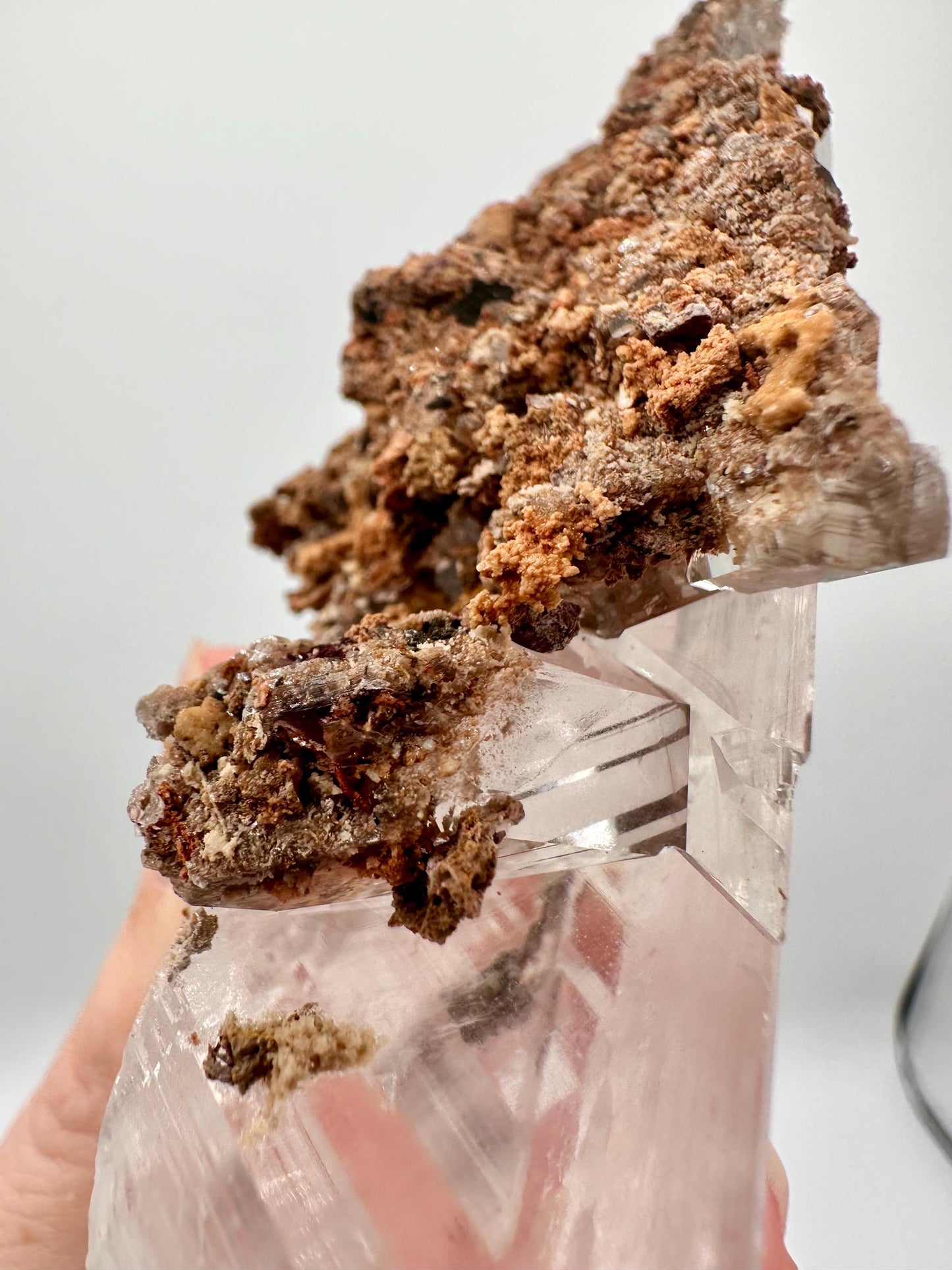 Bermejillo Selenite Crystal Mineral Specimen with Matrix