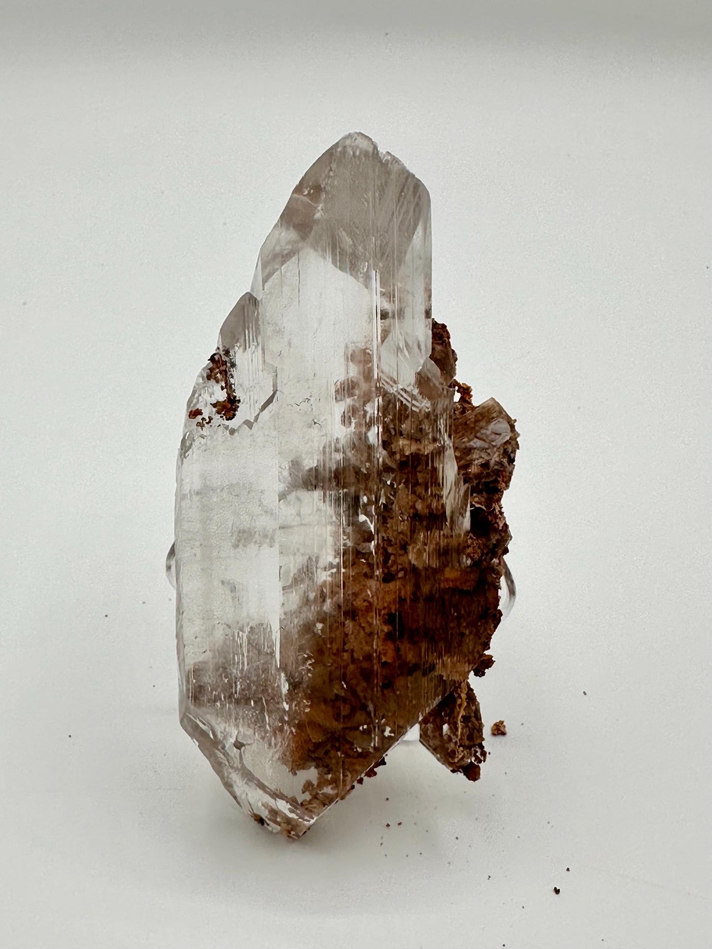 Bermejillo Selenite Crystal Mineral Specimen with Matrix