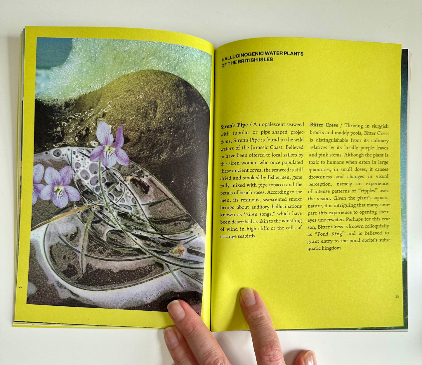 The Fruit of Mythic Dreaming Book - Imagined Folklore & Otherworld Botany