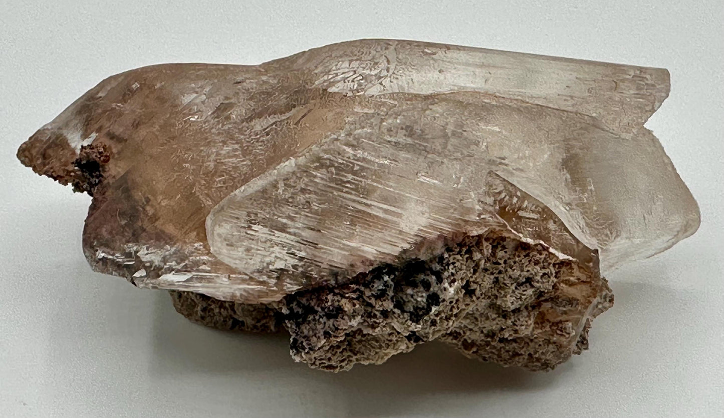 Naica Selenite Crystal with Moving Enhydro, Gypsum Selenite with Mobile Enhydro