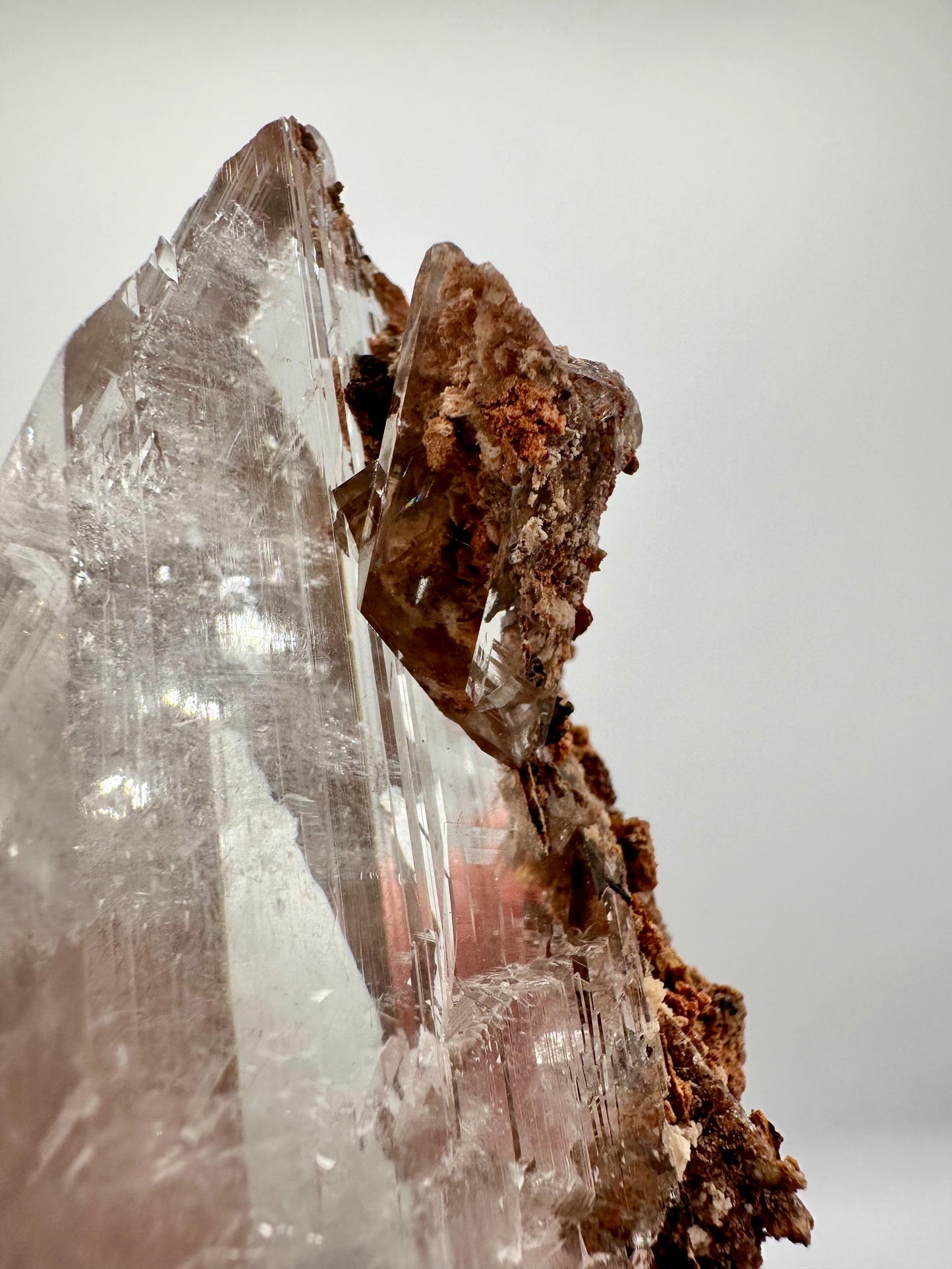 Bermejillo Selenite Crystal Mineral Specimen with Matrix