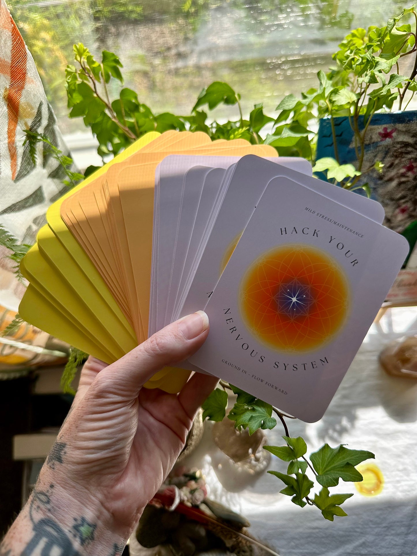 Hack Your Nervous System Deck - 60 Card Deck for Stress Relief, Meditation, Anxiety