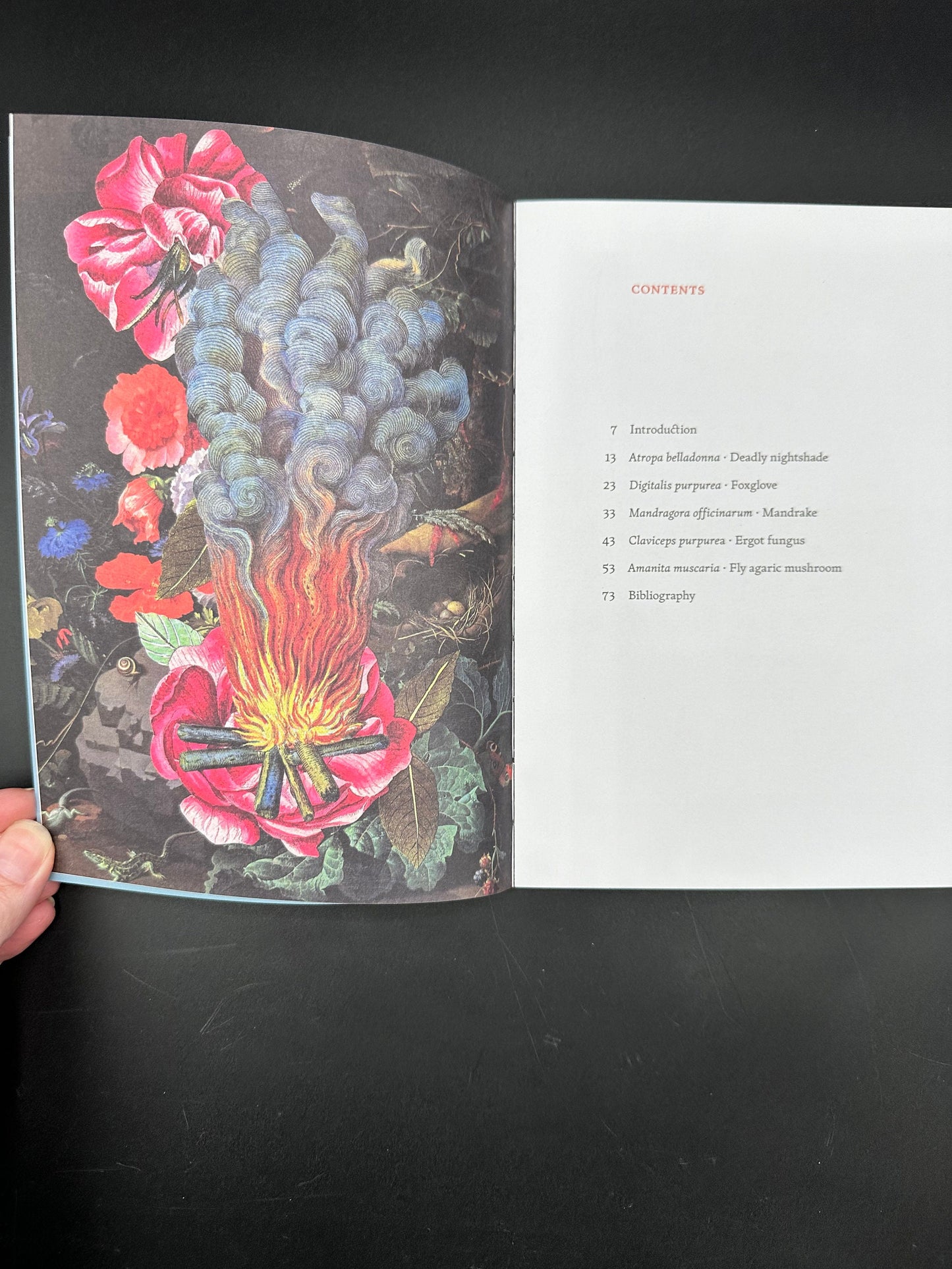 The Invisible Harvest: A Microhistory of Heretical Herbs