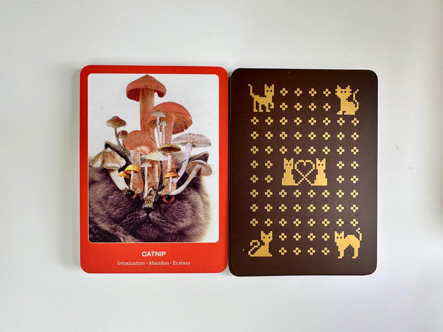 The Cat Oracle, a 33 Card Oracle Deck and Guidebook for Divination and Feline Guidance