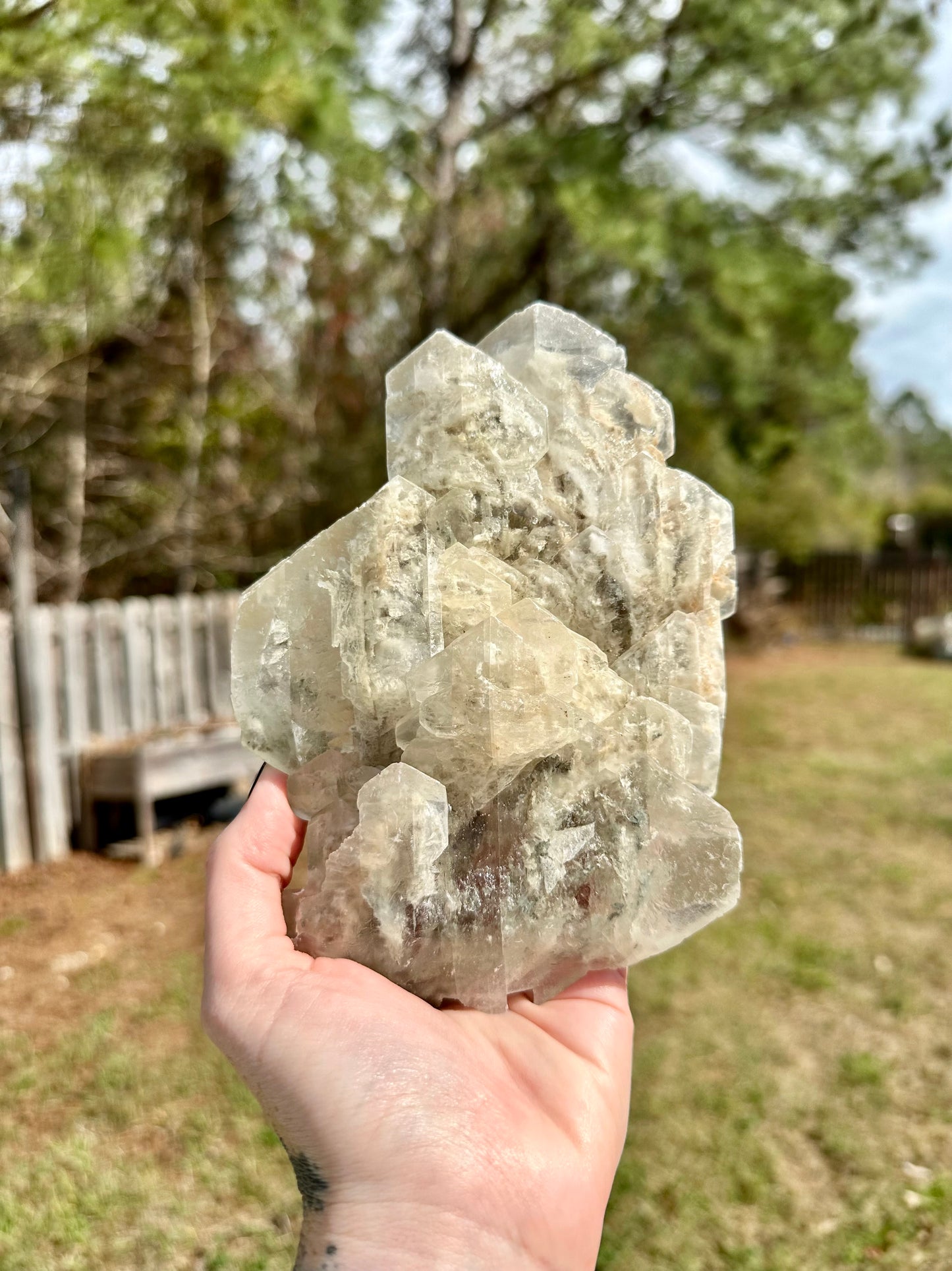 Elestial Selenite Crystal Specimen