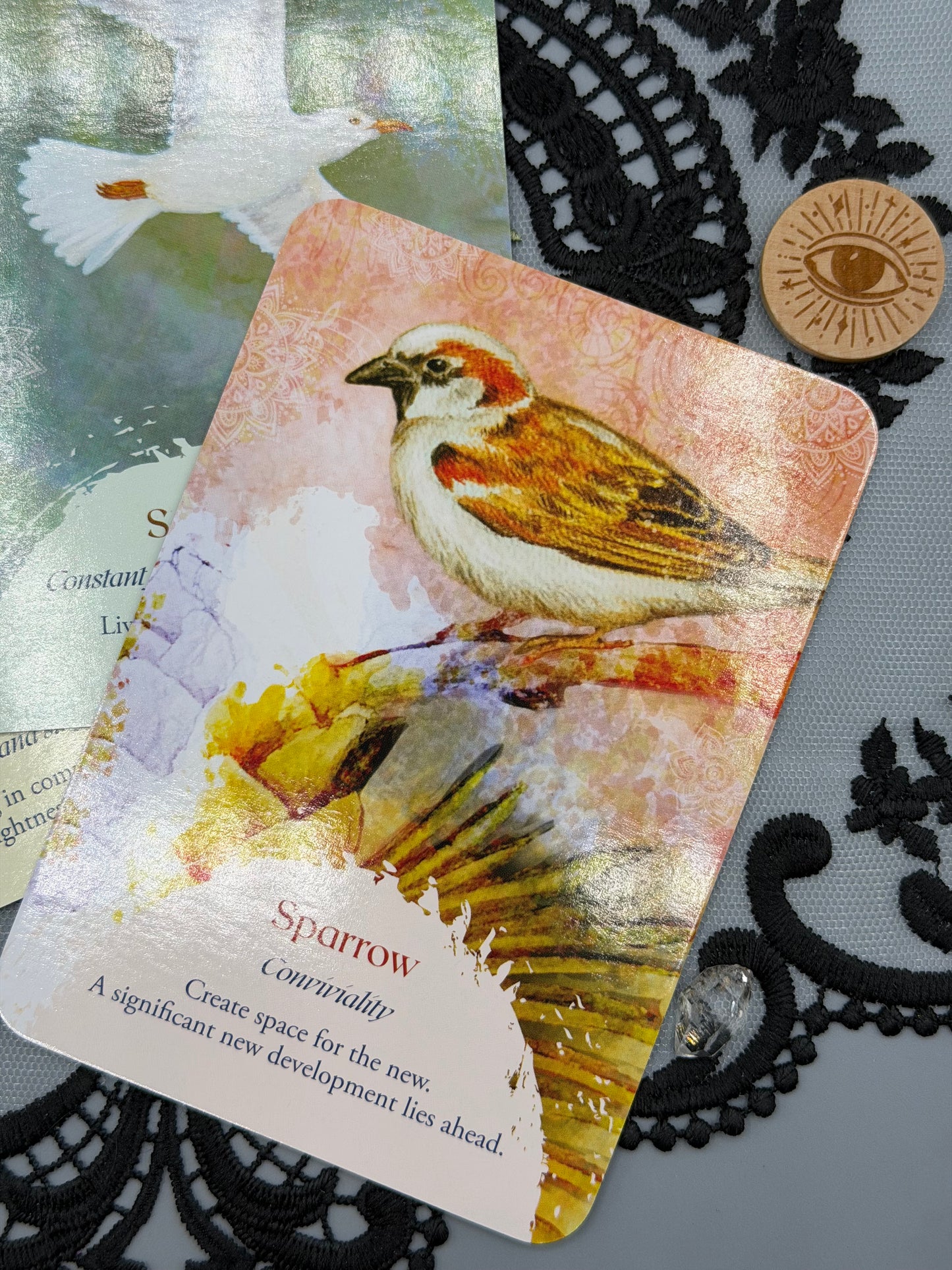 Oracle of the Birds Deck