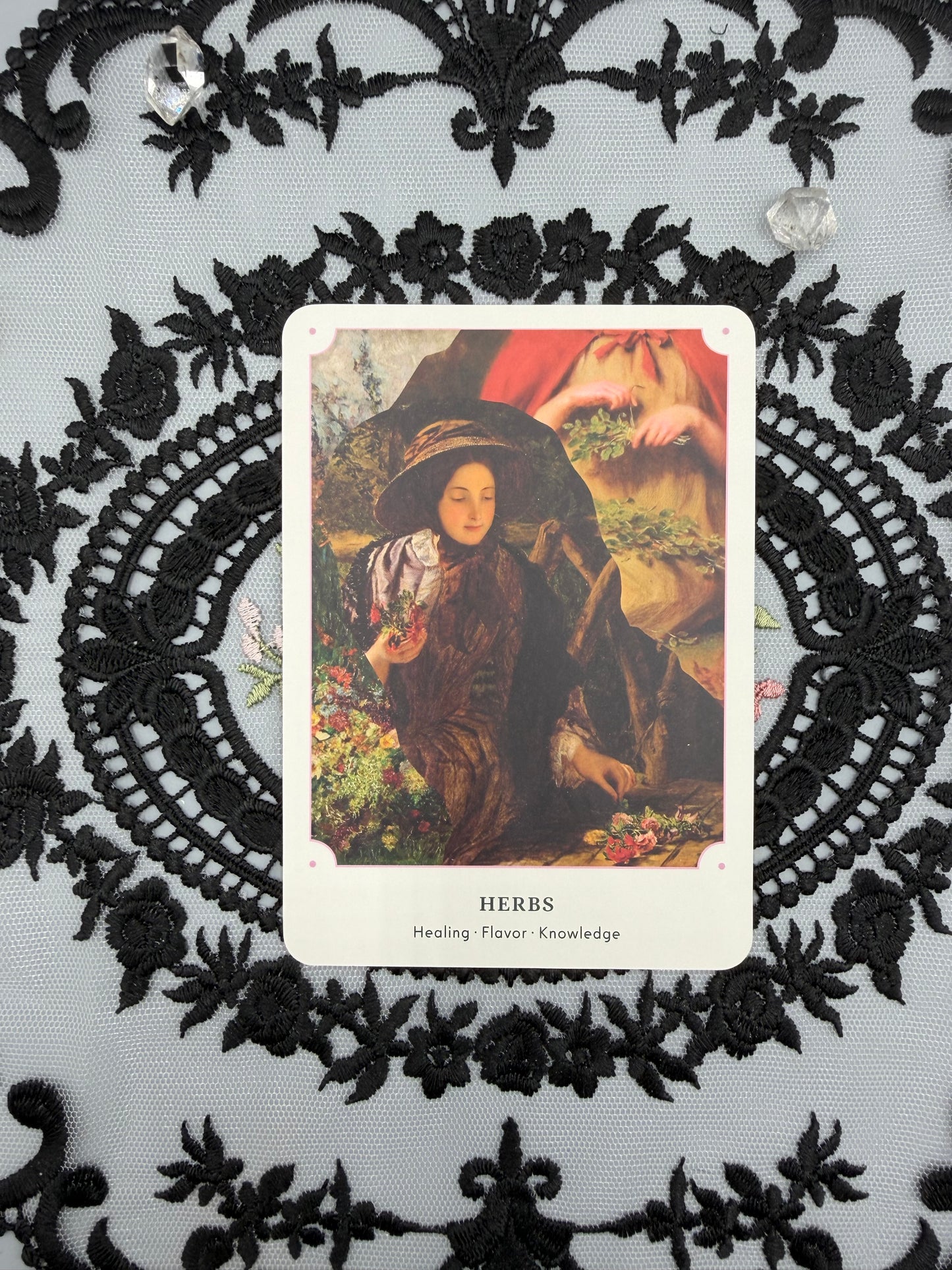 The Garden Oracle Card Deck