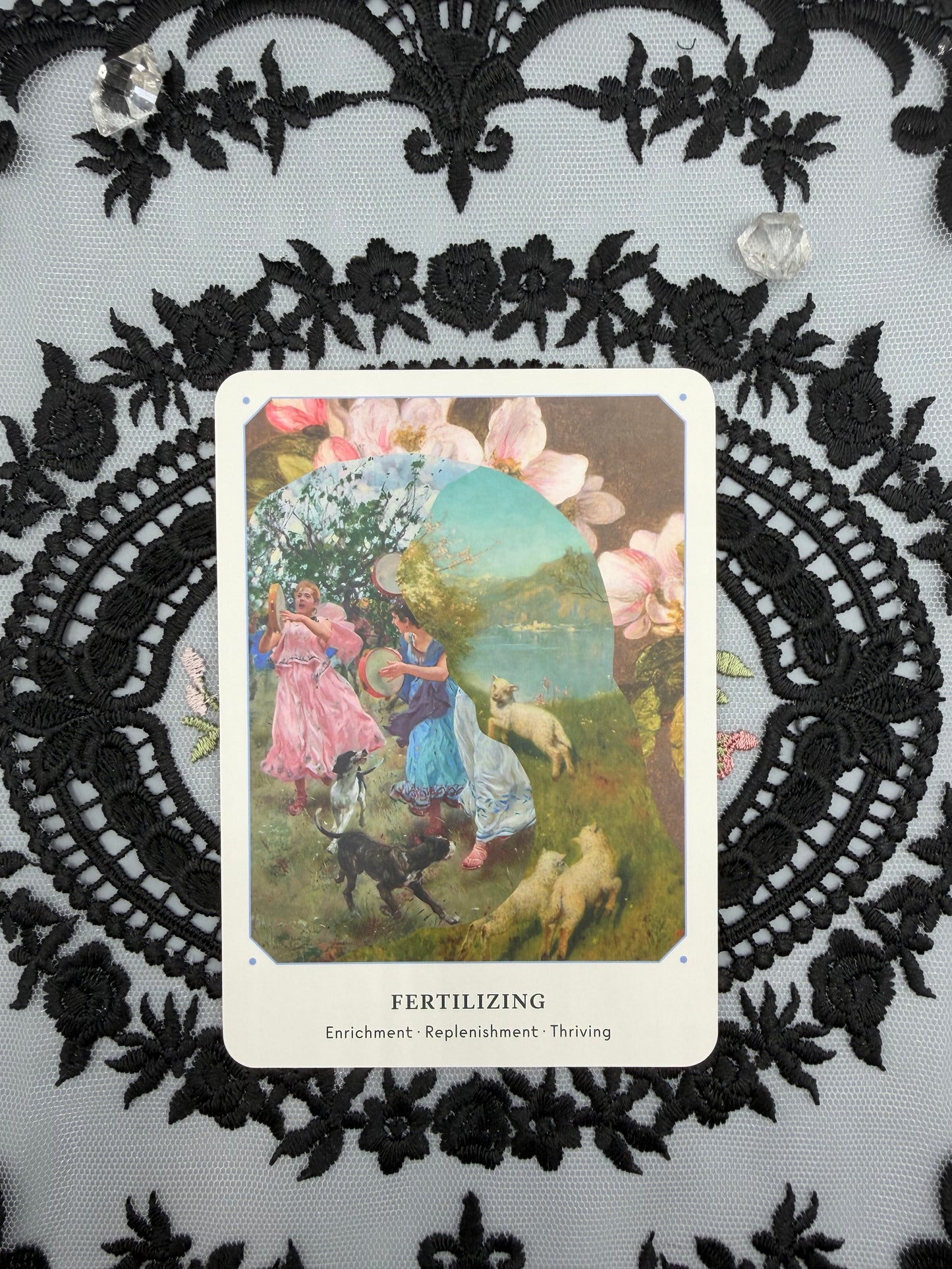 The Garden Oracle Card Deck