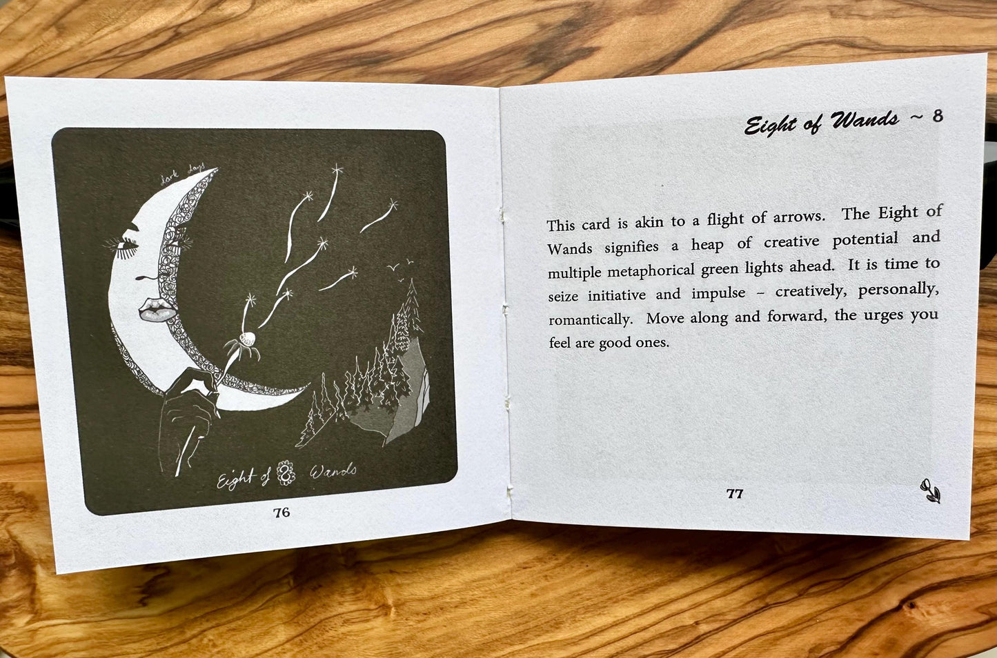 Dark Days Tarot Deck and Guidebook, 78 Tarot Card Deck, Square Tarot Cards