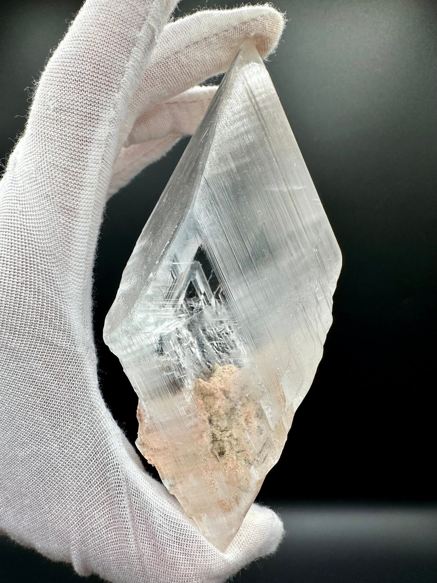 Naica Selenite Crystal Mineral Collector's Grade Specimen