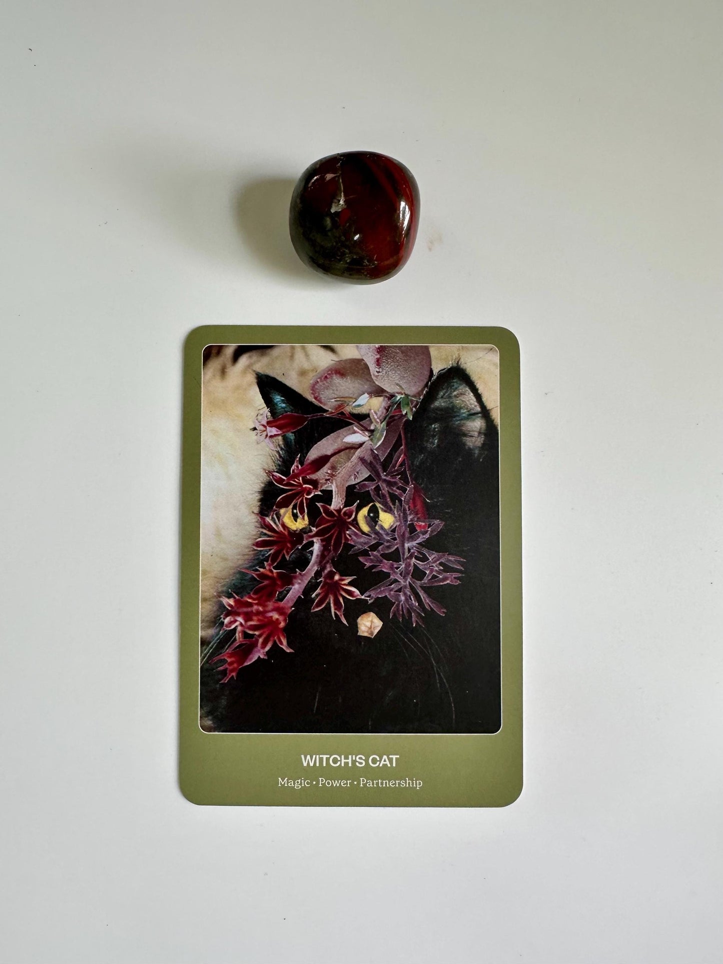 The Cat Oracle, a 33 Card Oracle Deck and Guidebook for Divination and Feline Guidance