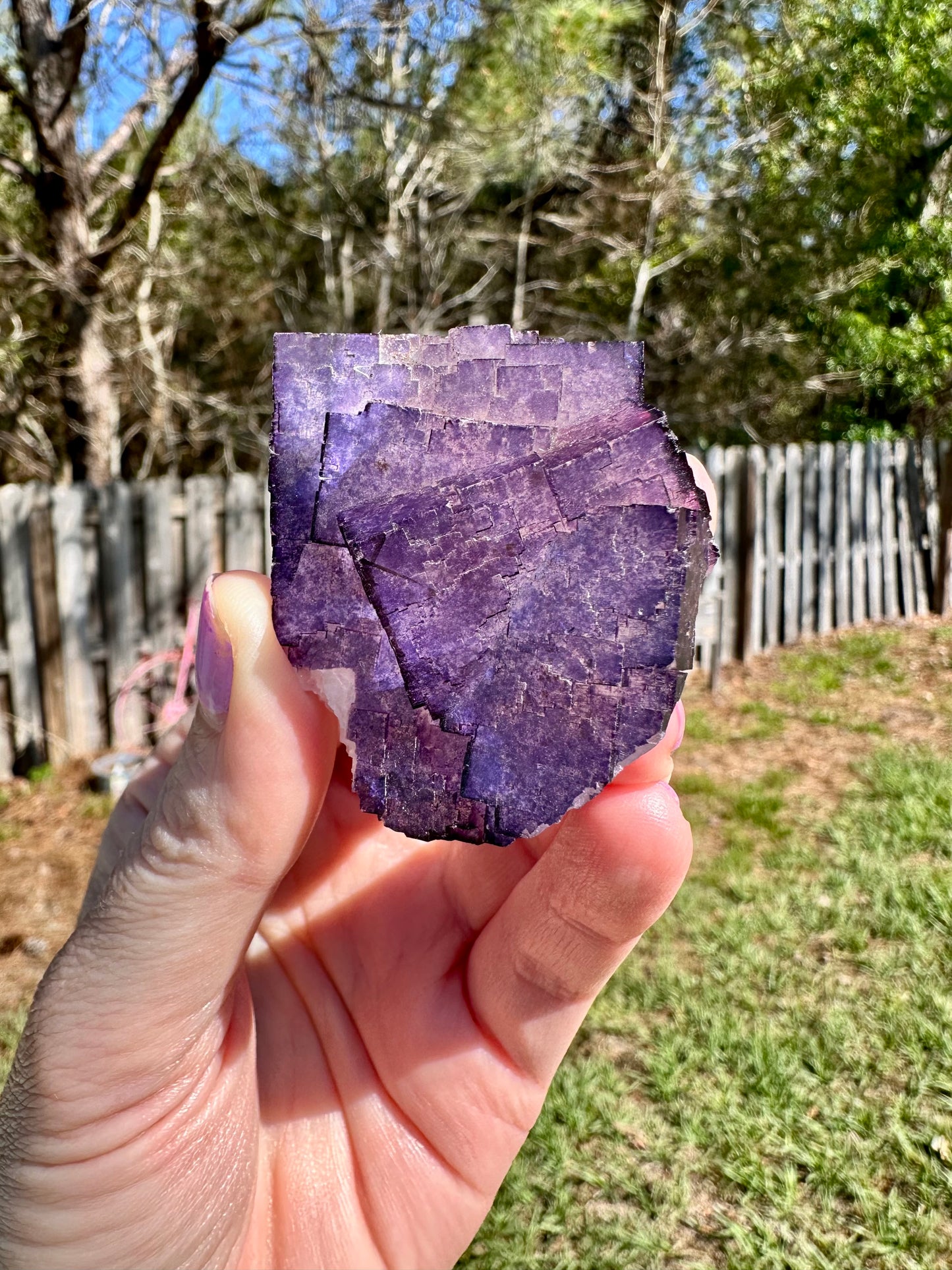 Purple Fluorite, Muzquiz, Mexico