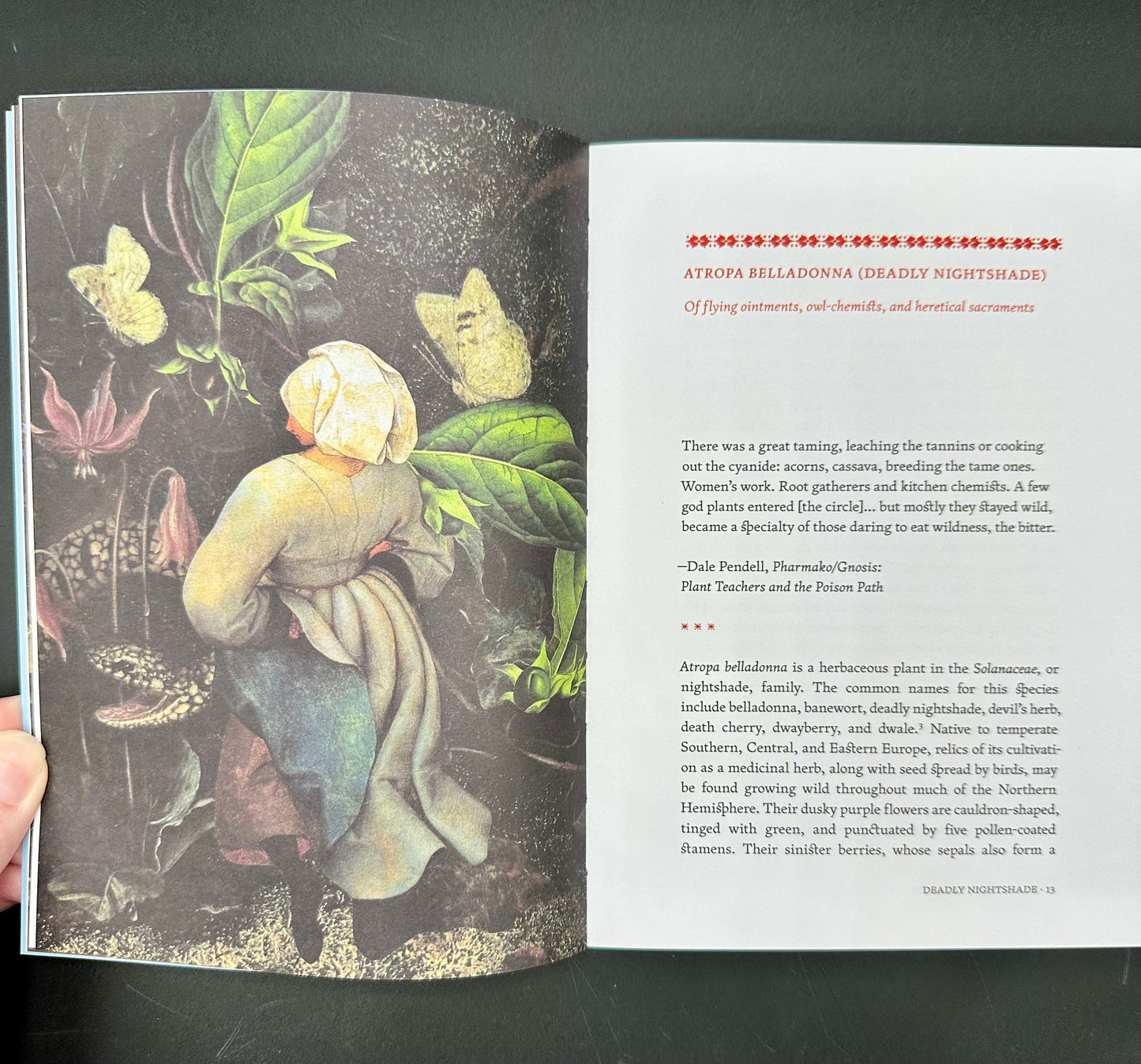 The Invisible Harvest: A Microhistory of Heretical Herbs