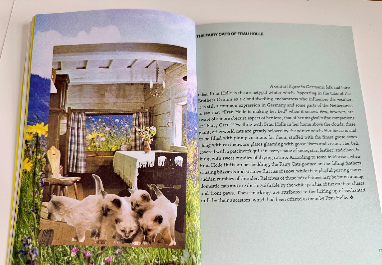 The Fruit of Mythic Dreaming Book - Imagined Folklore & Otherworld Botany