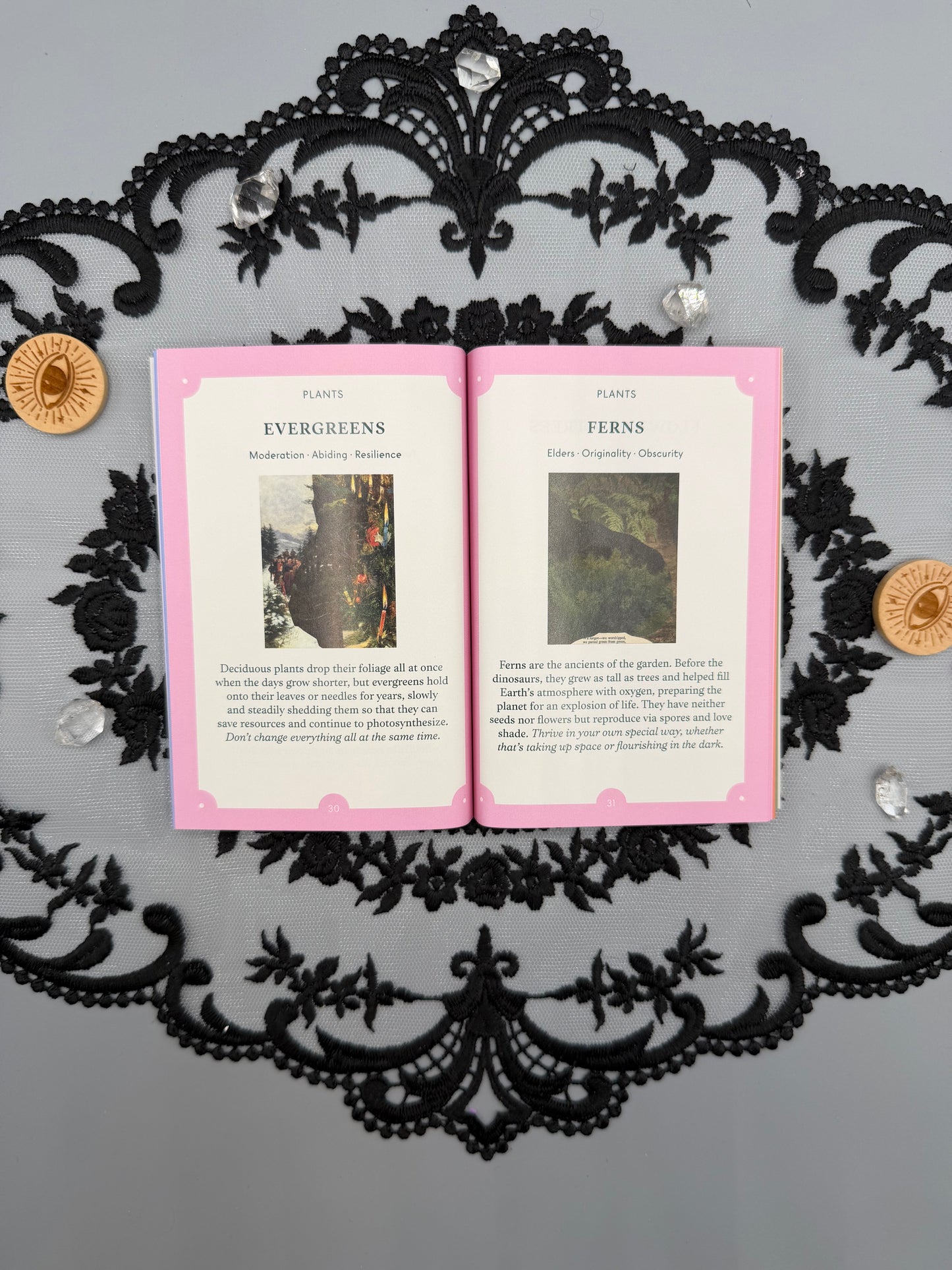 The Garden Oracle Card Deck