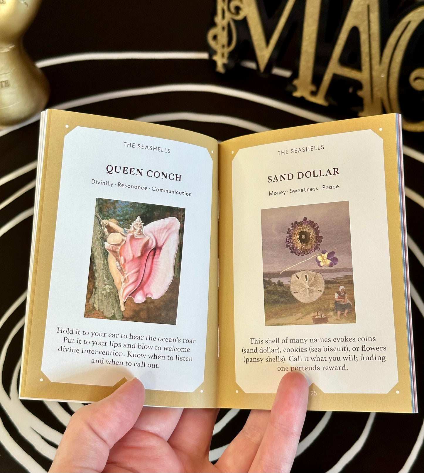 The Seashell Oracle Cards: 44 Card Deck for Divination