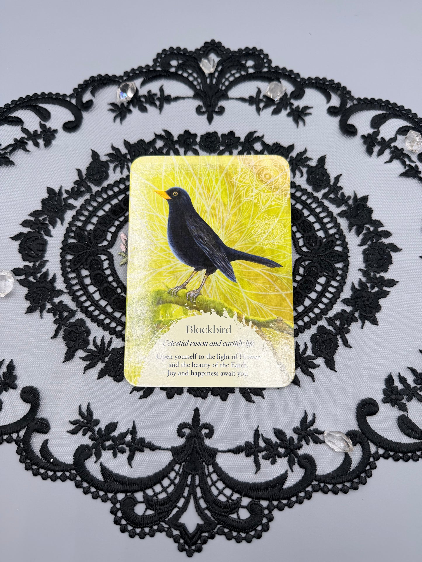 Oracle of the Birds Deck