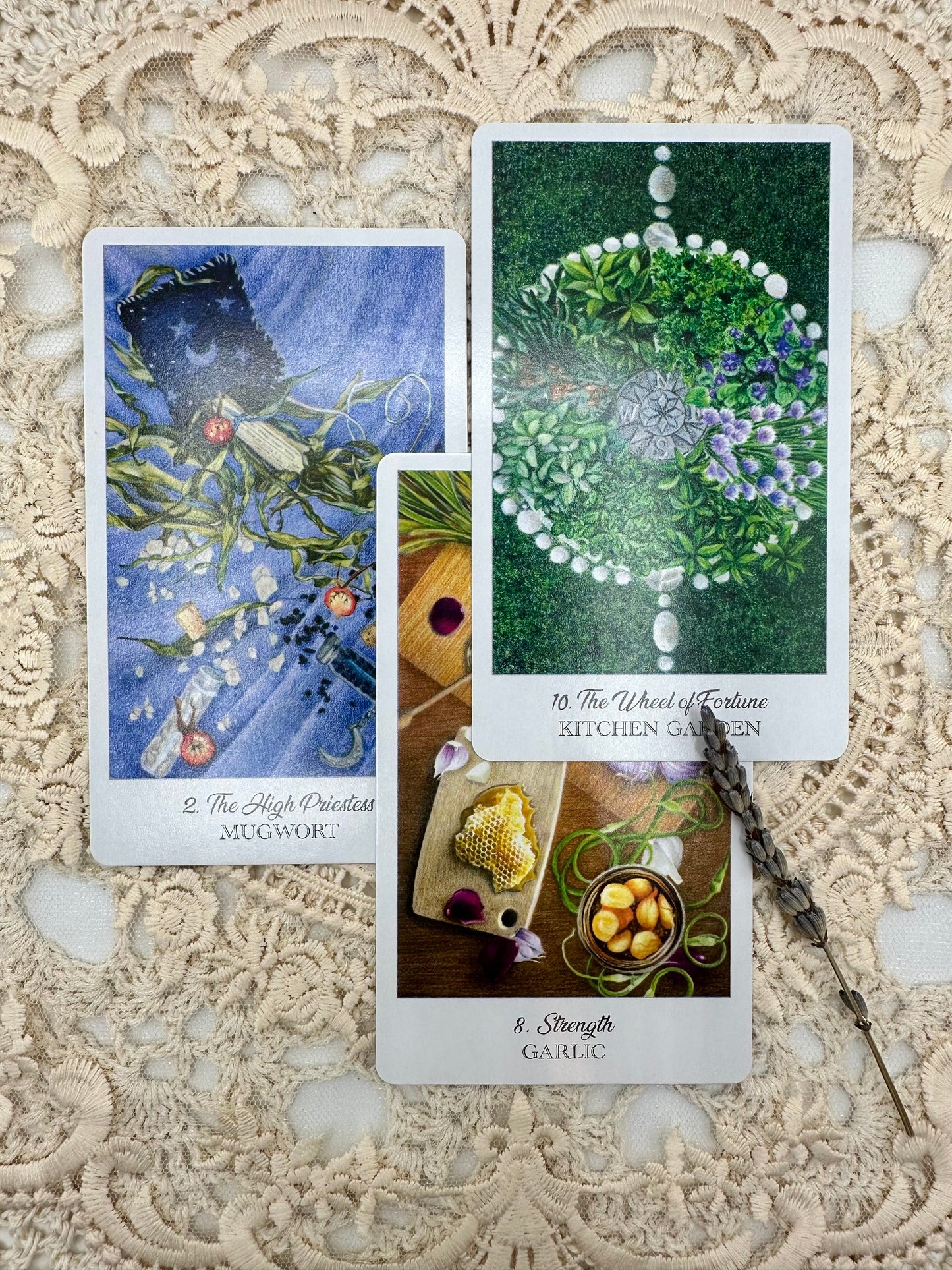 The Herbcrafter's Tarot Deck and Guidebook