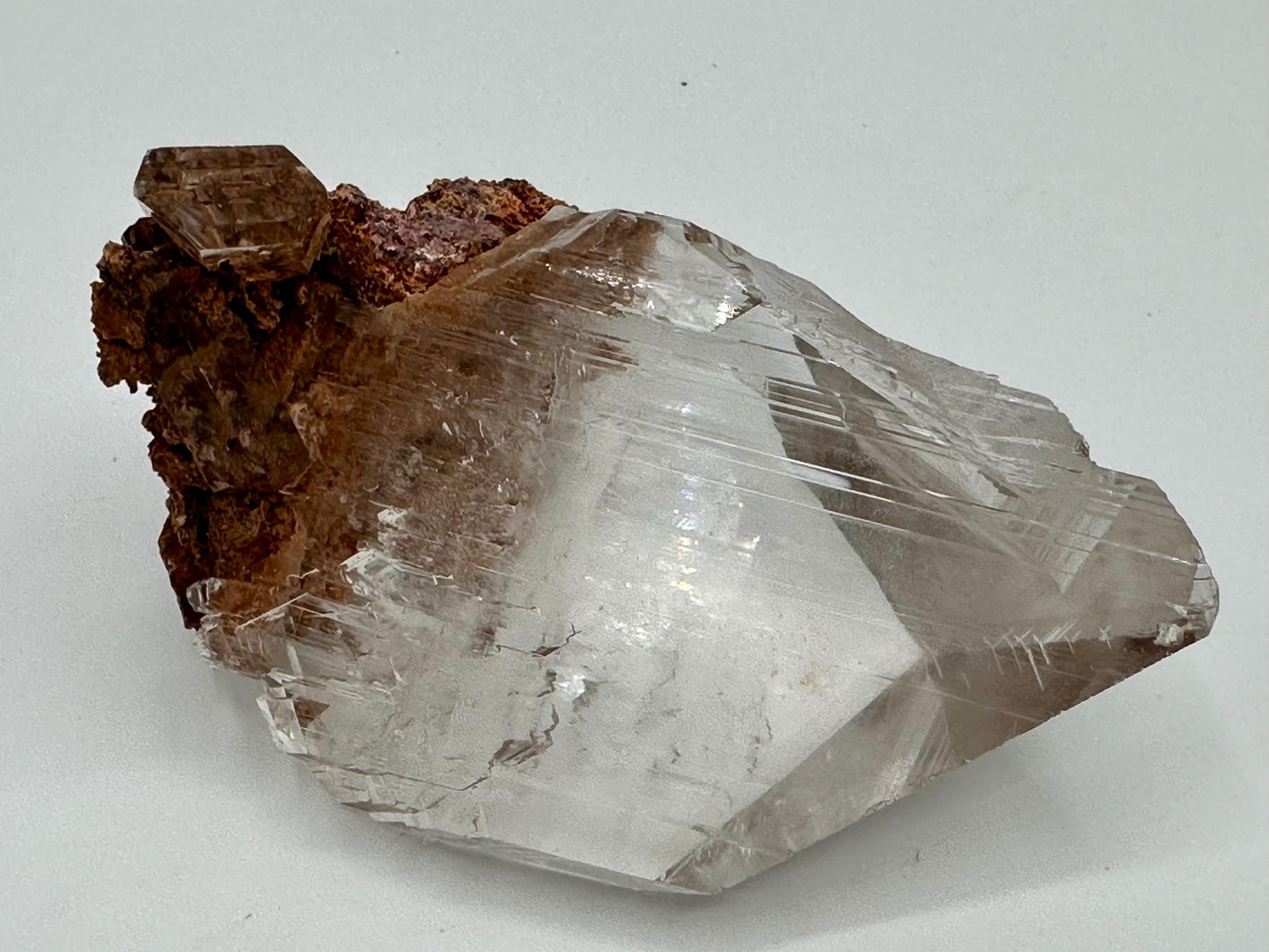 Durango Selenite Crystal Mineral Specimen with Matrix