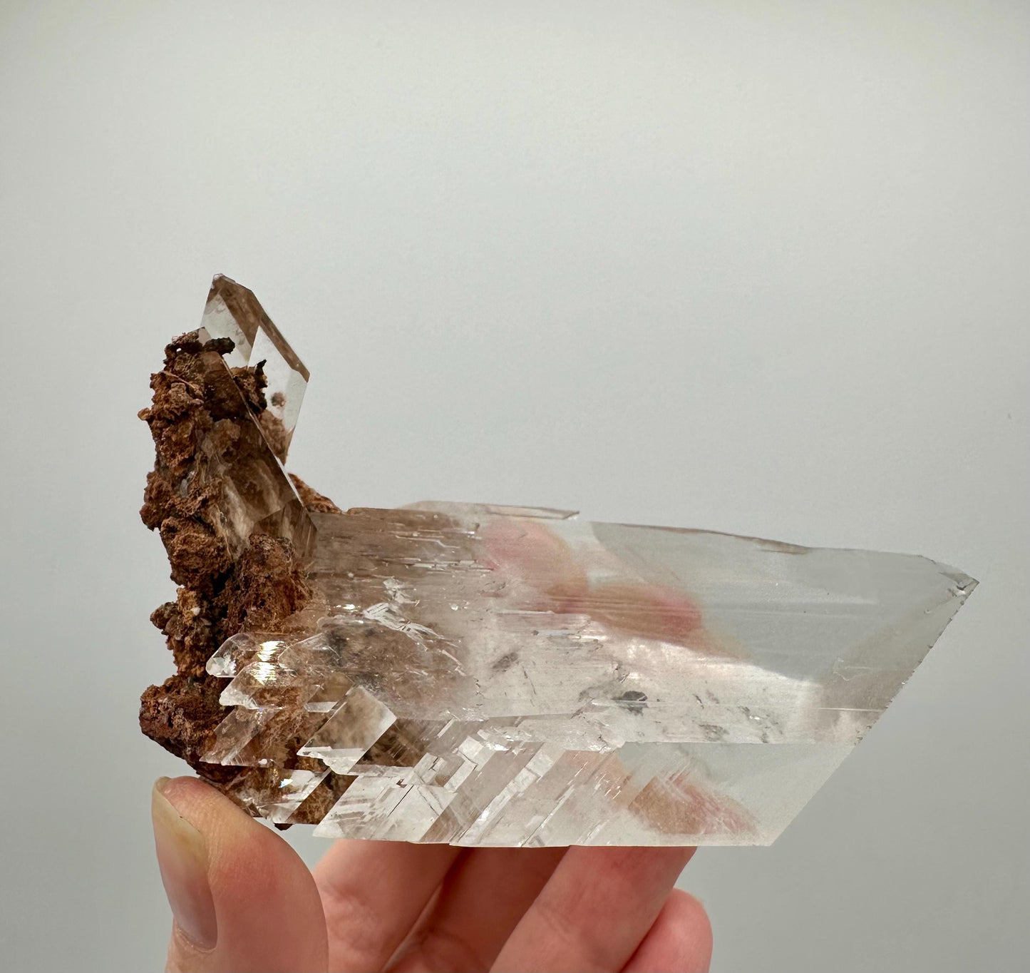 Durango Selenite Crystal Mineral Specimen with Matrix