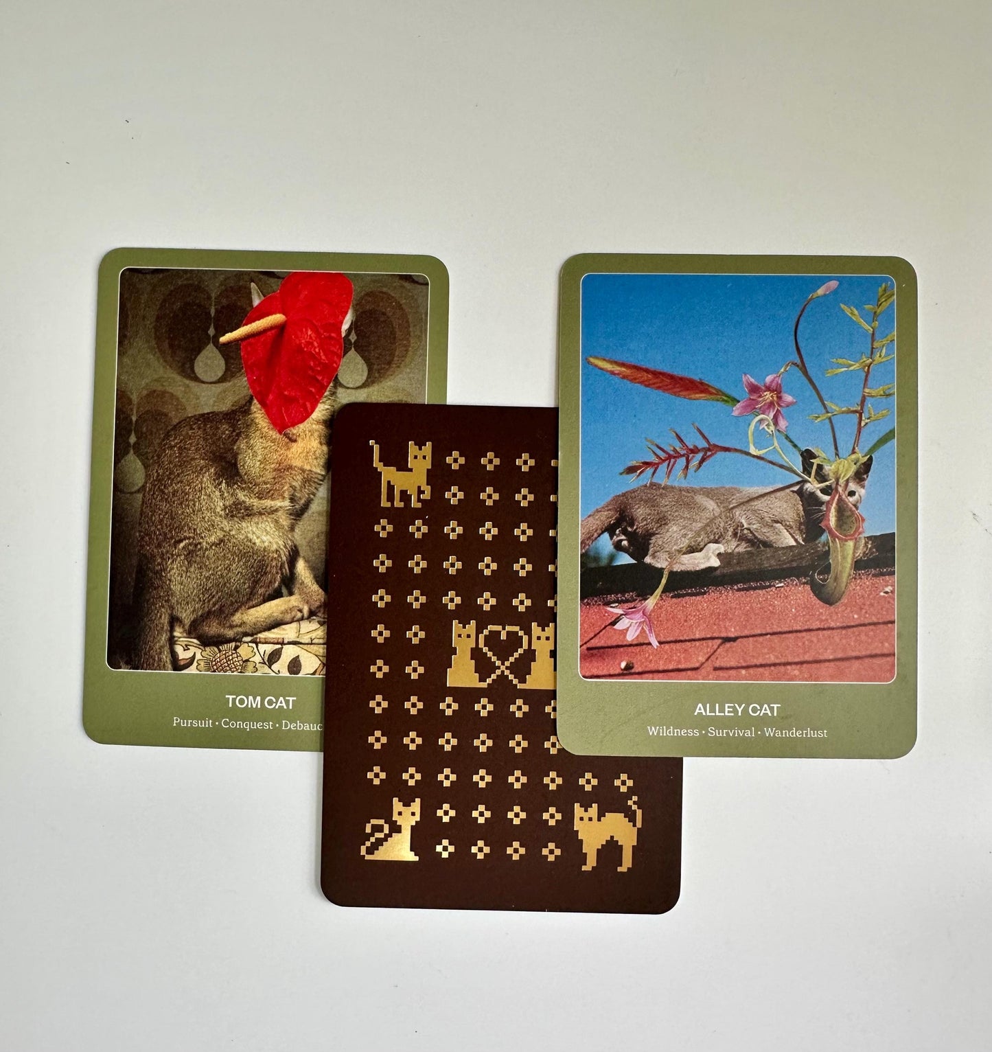 The Cat Oracle, a 33 Card Oracle Deck and Guidebook for Divination and Feline Guidance