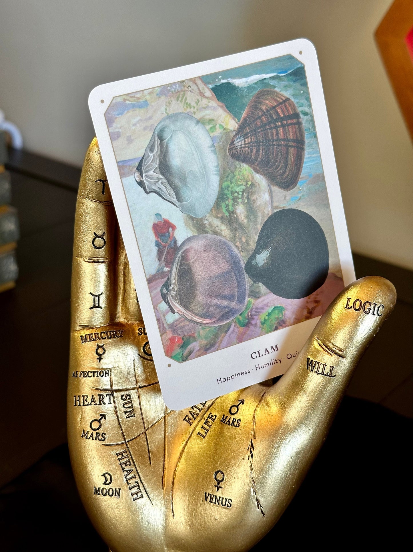 The Seashell Oracle Cards: 44 Card Deck for Divination