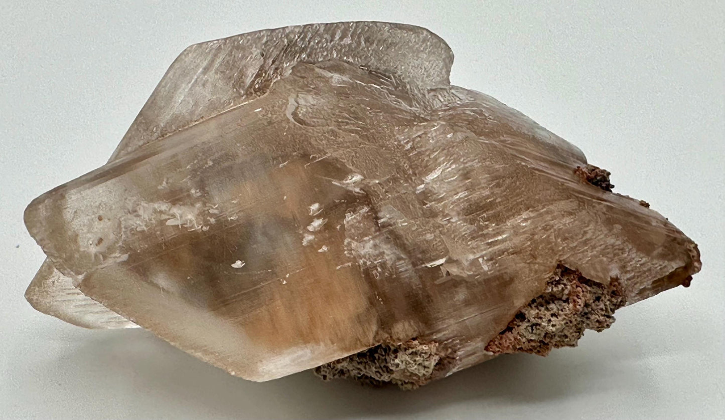 Naica Selenite Crystal with Moving Enhydro, Gypsum Selenite with Mobile Enhydro