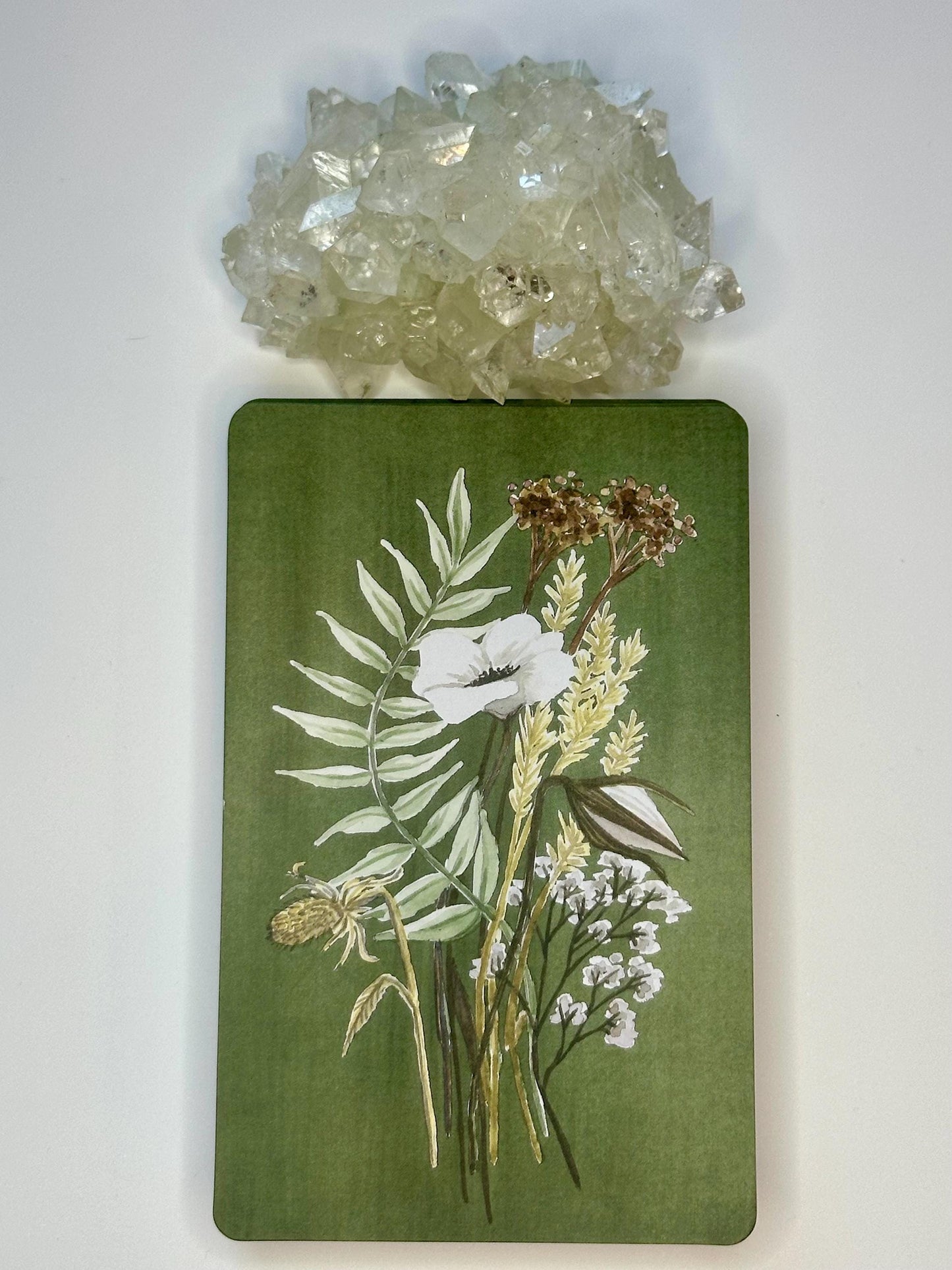 The Mama Deck: 50 Affirmation Cards for Every Season of Motherhood