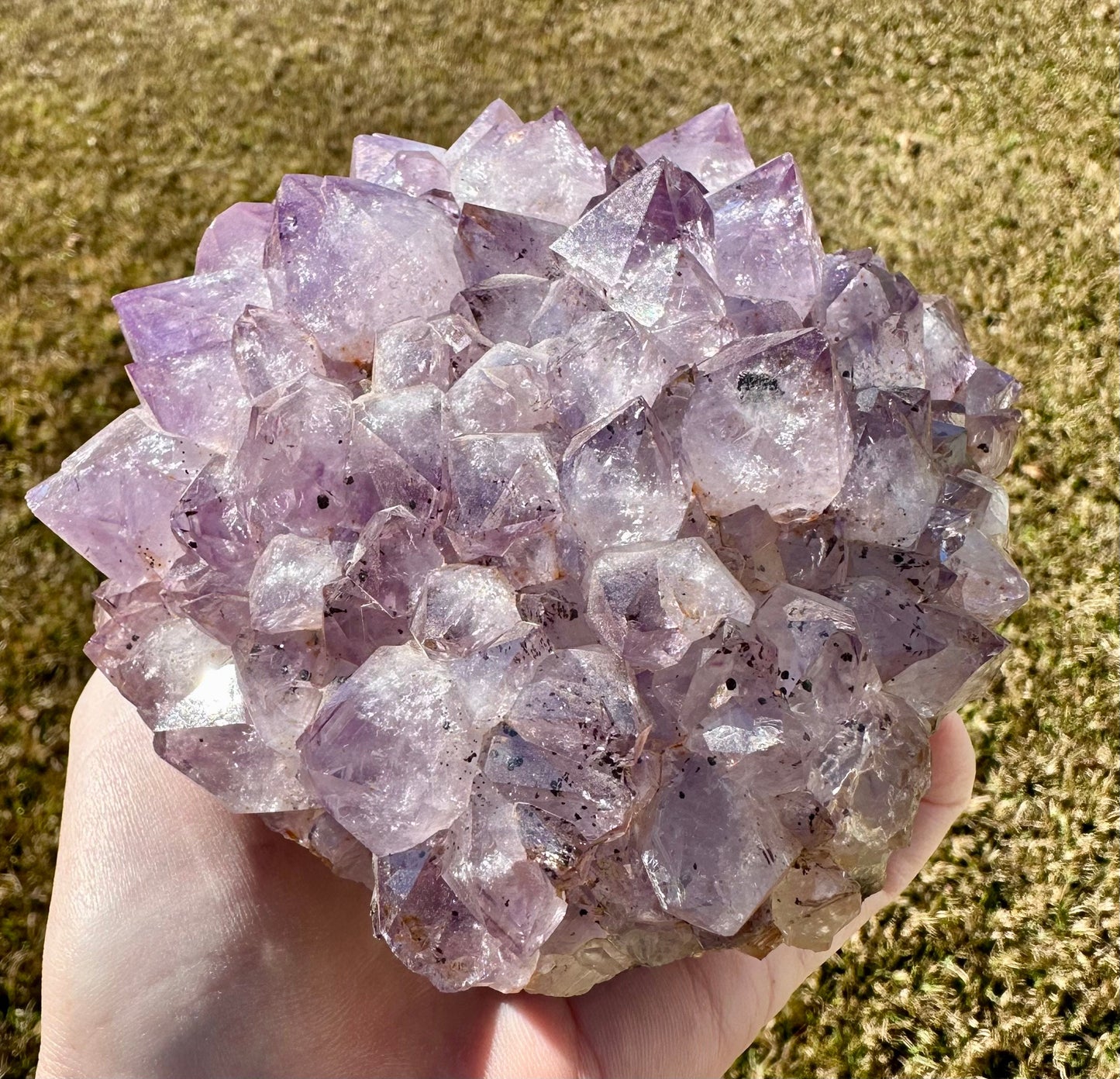 Brazilian Amethyst Quartz Cluster