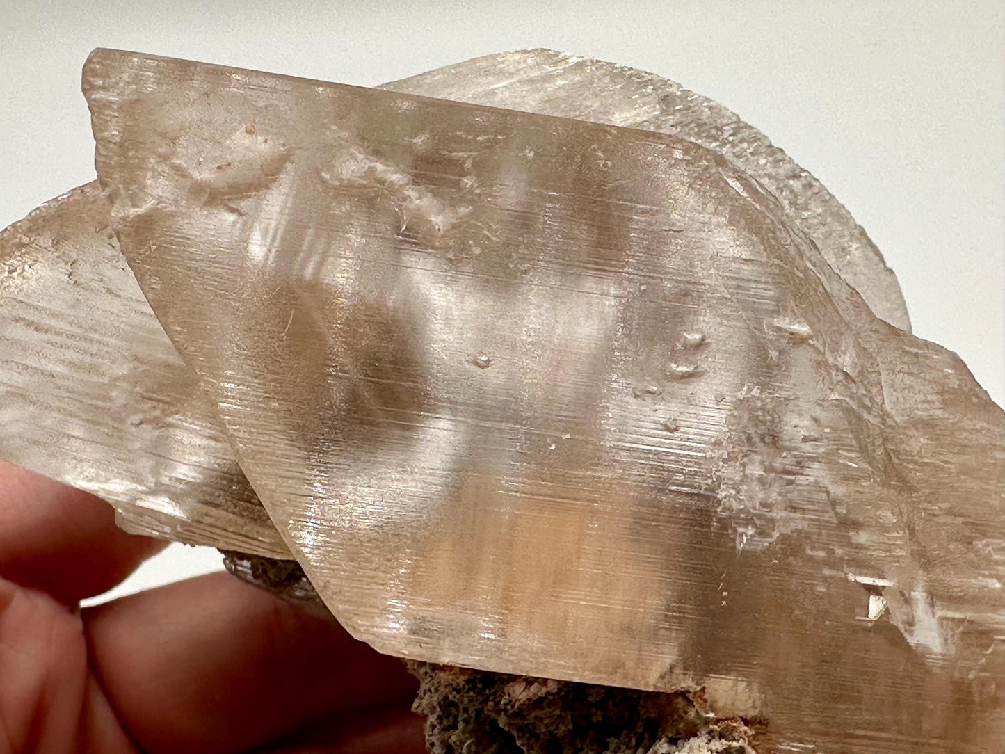 Naica Selenite Crystal with Moving Enhydro, Gypsum Selenite with Mobile Enhydro