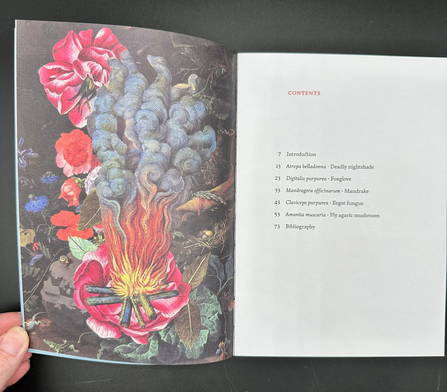 The Invisible Harvest: A Microhistory of Heretical Herbs