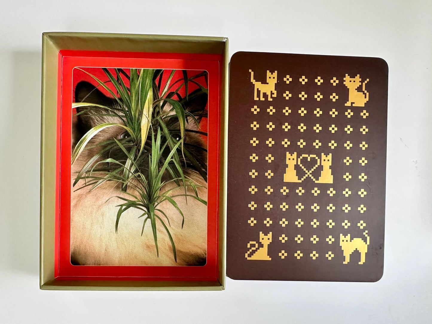 The Cat Oracle, a 33 Card Oracle Deck and Guidebook for Divination and Feline Guidance