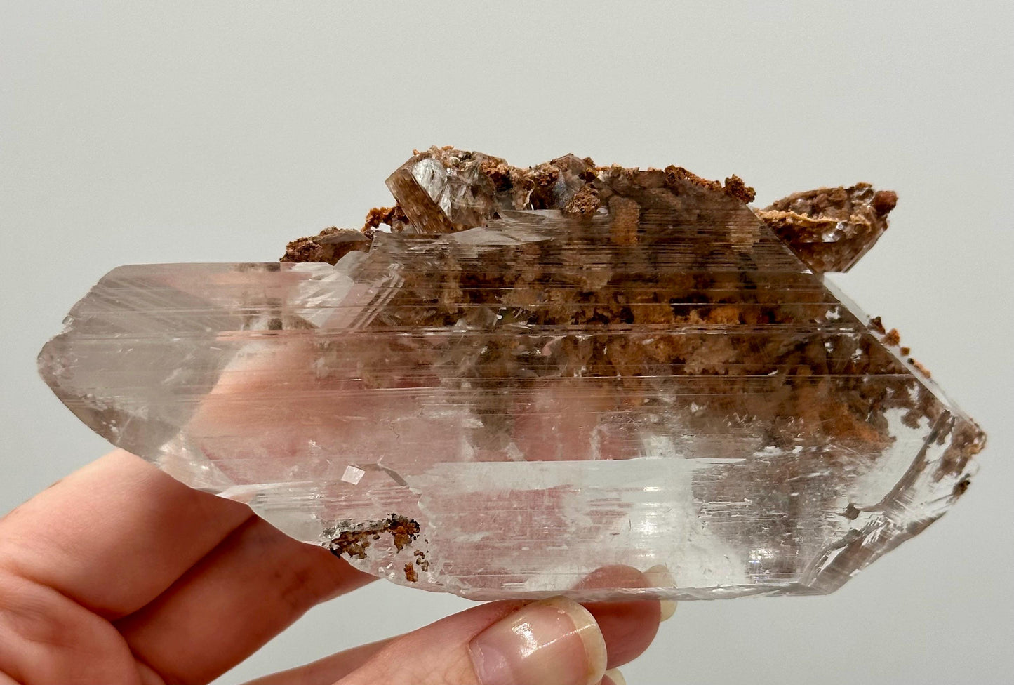 Bermejillo Selenite Crystal Mineral Specimen with Matrix