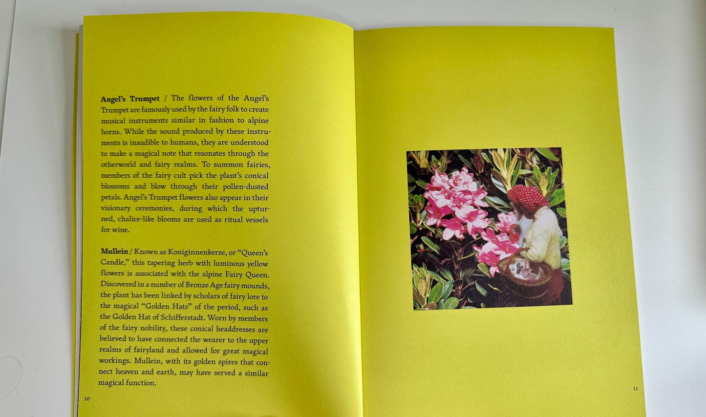 The Fruit of Mythic Dreaming Book - Imagined Folklore & Otherworld Botany