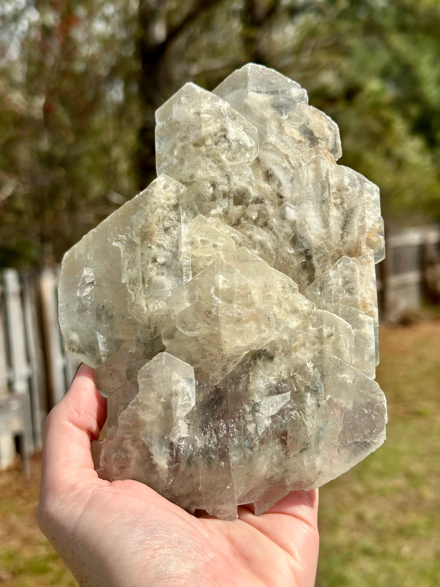 Elestial Selenite Crystal Specimen