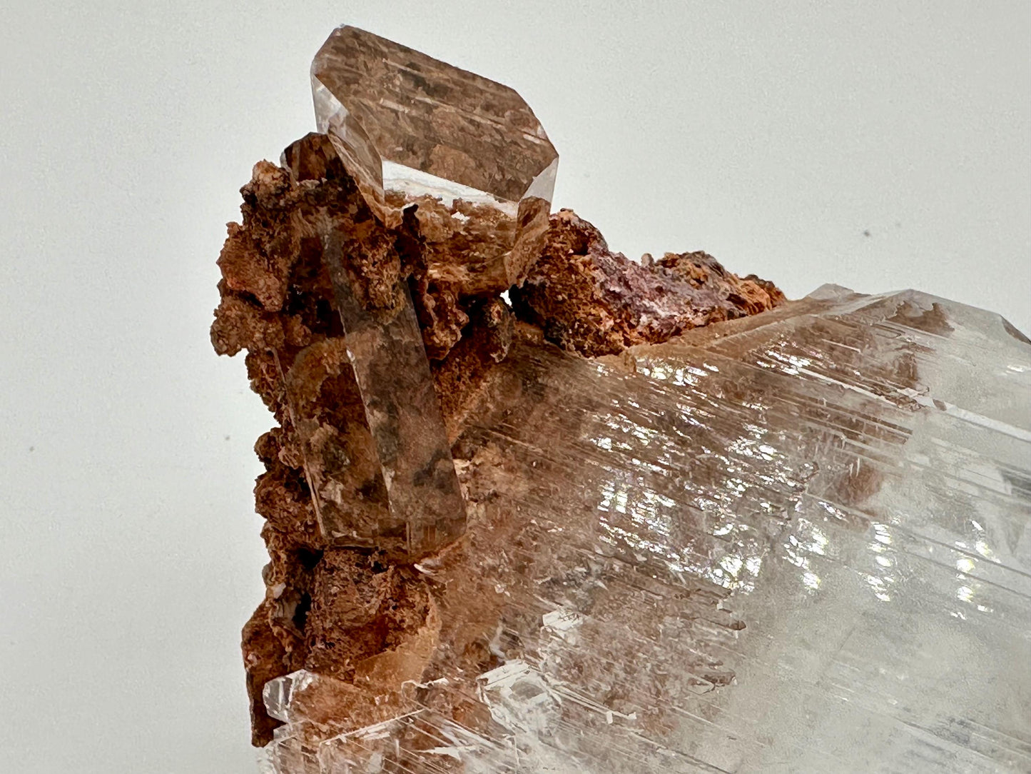 Durango Selenite Crystal Mineral Specimen with Matrix