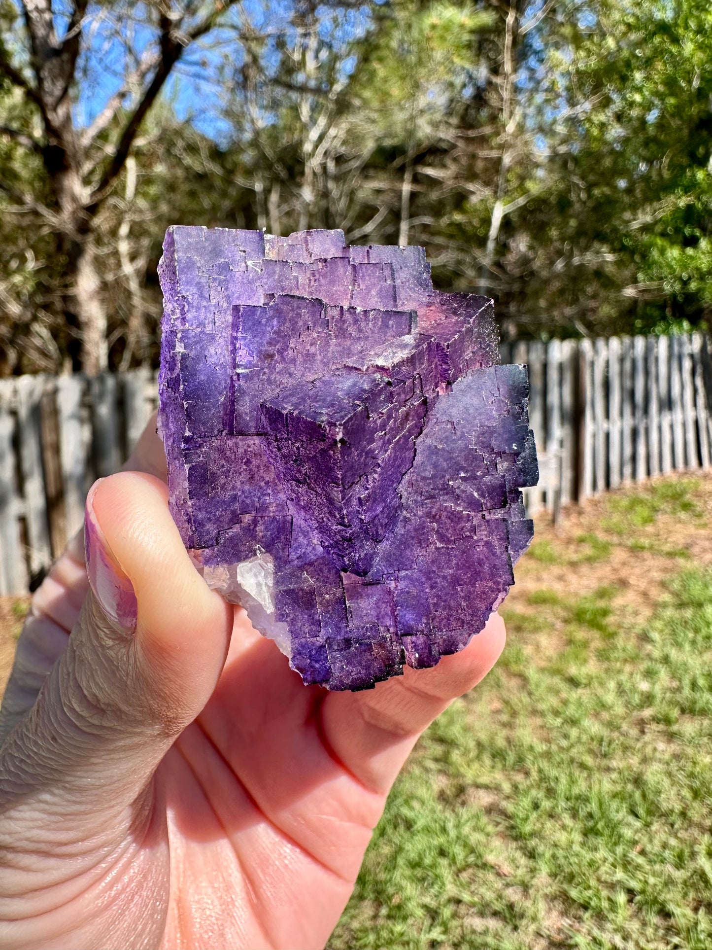 Purple Fluorite, Muzquiz, Mexico