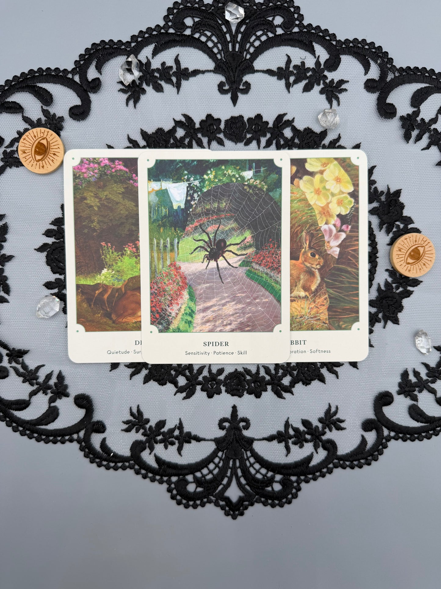 The Garden Oracle Card Deck