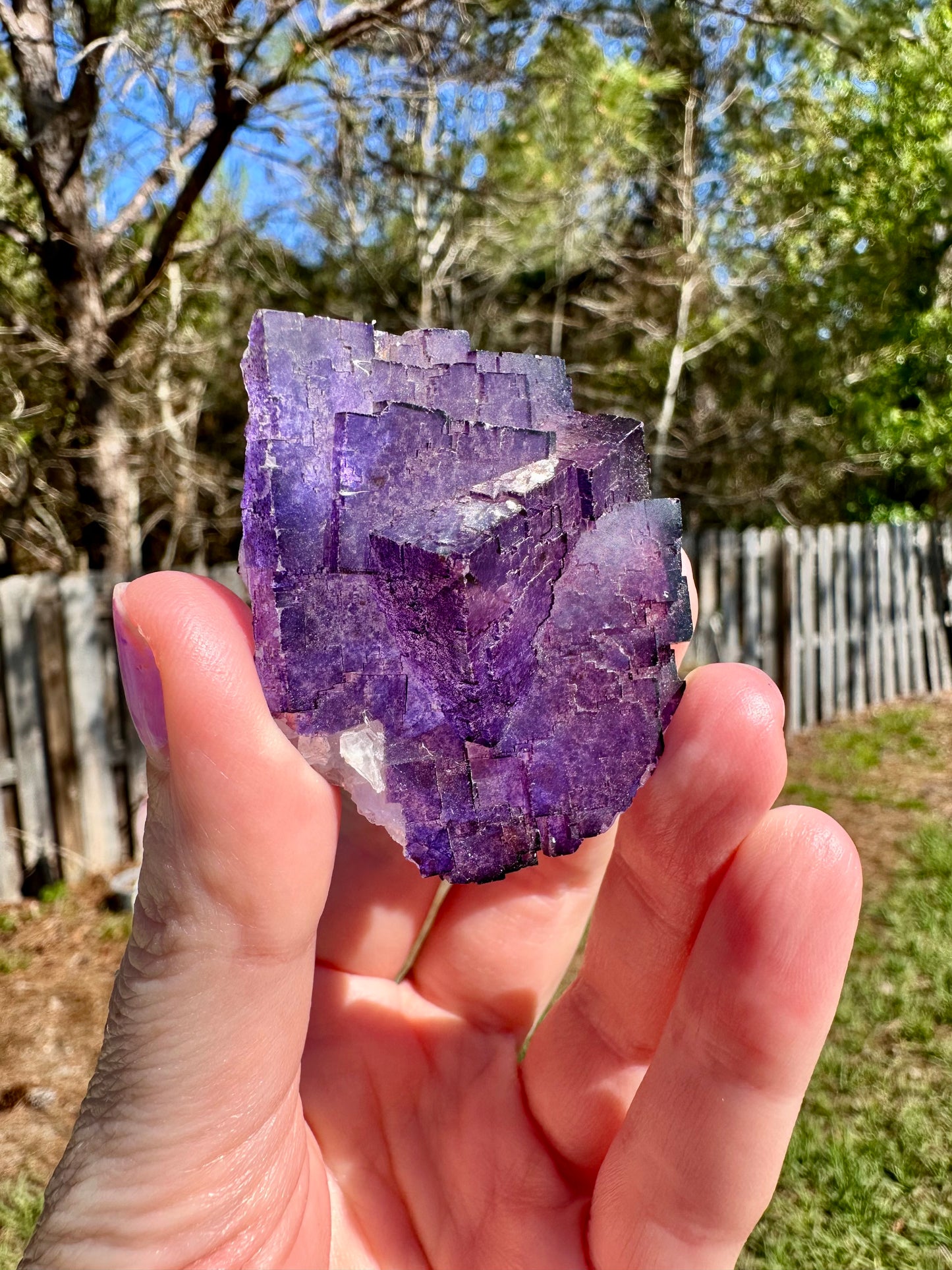 Purple Fluorite, Muzquiz, Mexico