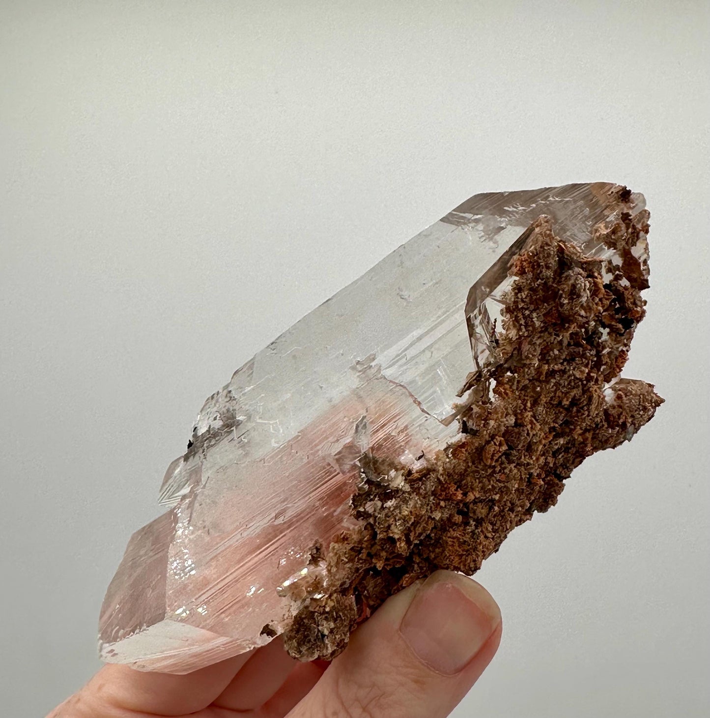 Bermejillo Selenite Crystal Mineral Specimen with Matrix