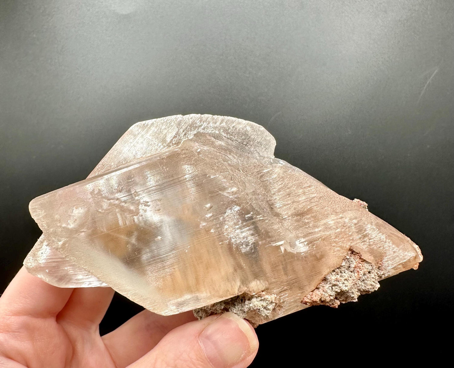 Naica Selenite Crystal with Moving Enhydro, Gypsum Selenite with Mobile Enhydro