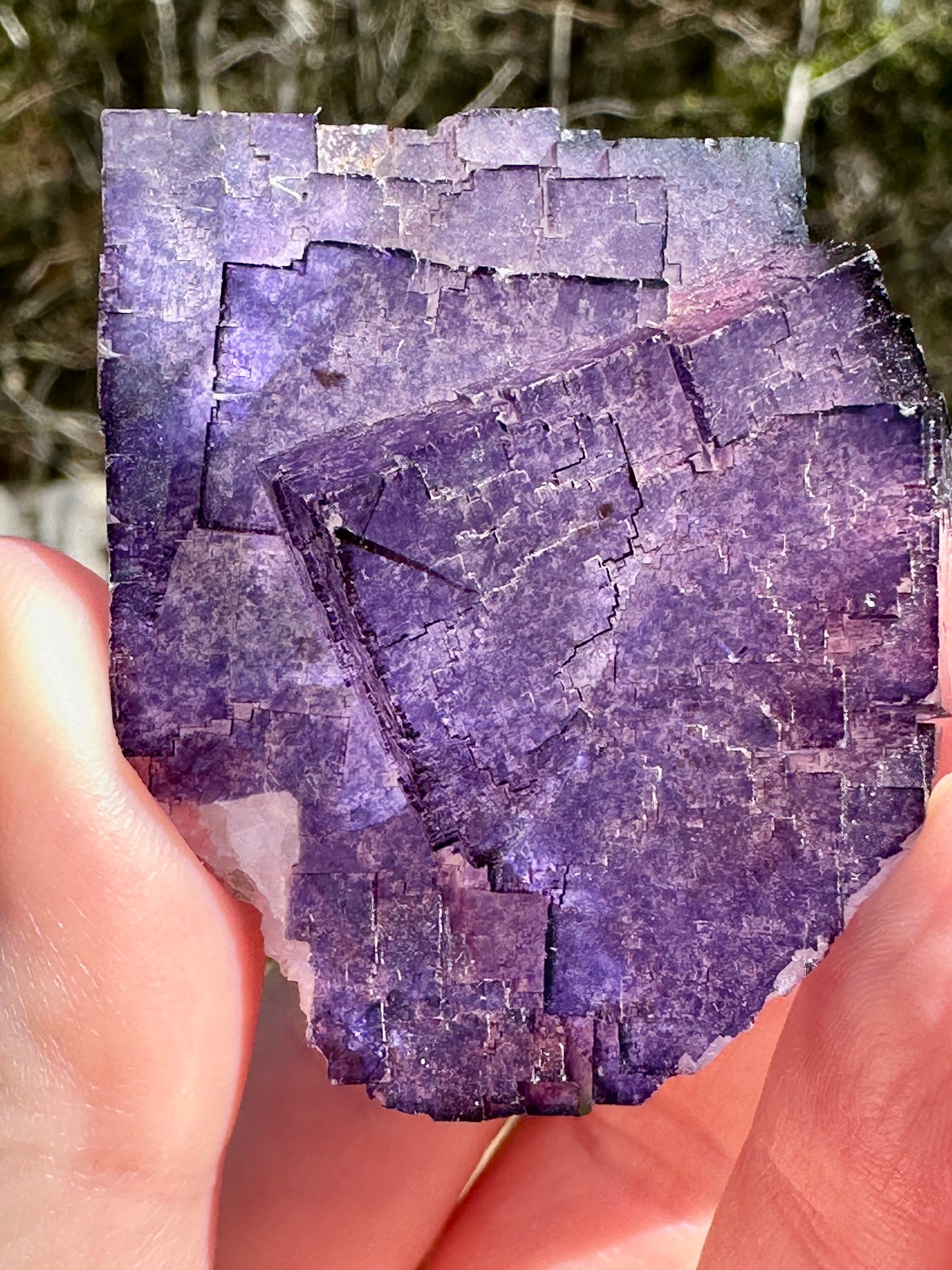Purple Fluorite, Muzquiz, Mexico