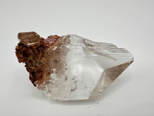 Durango Selenite Crystal Mineral Specimen with Matrix